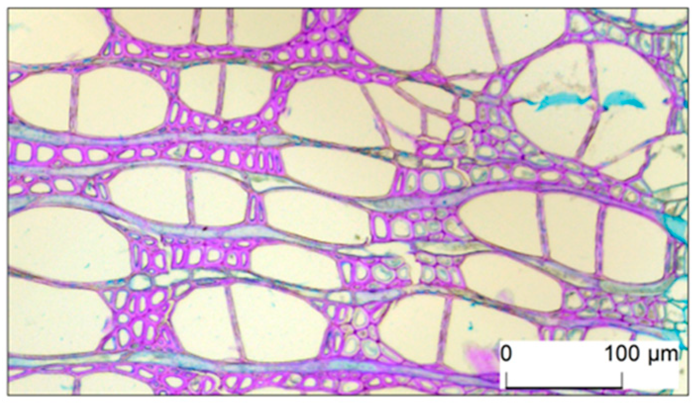 Forests 15 01087 g002