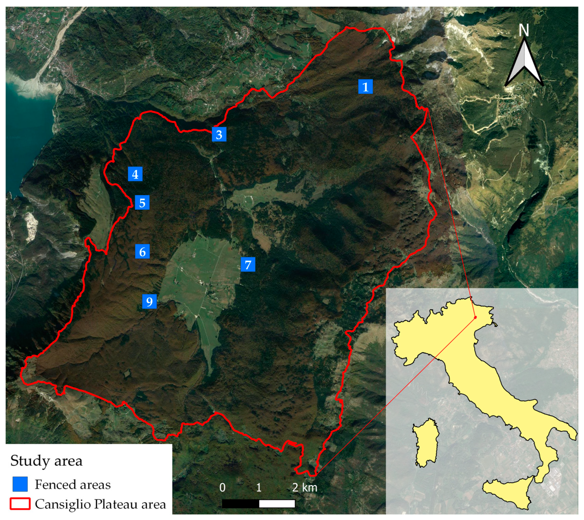 Forests 15 01088 g001 Forests 15 01088 g001