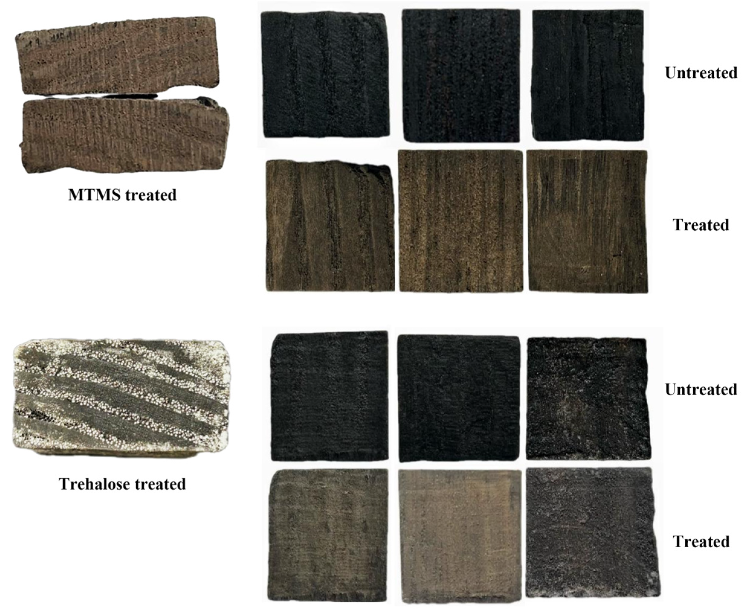 Forests 15 01089 g003