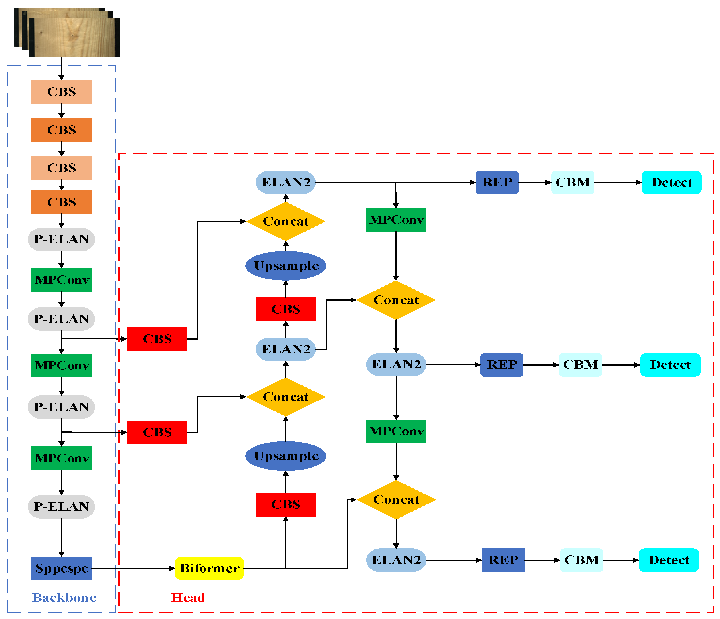 Forests 15 01096 g003