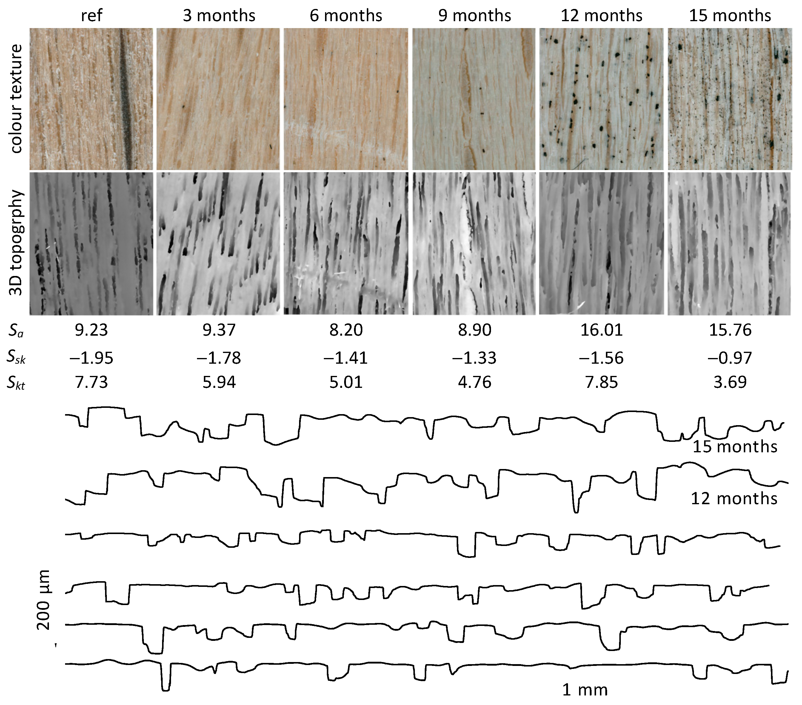 Forests 15 01097 g005
