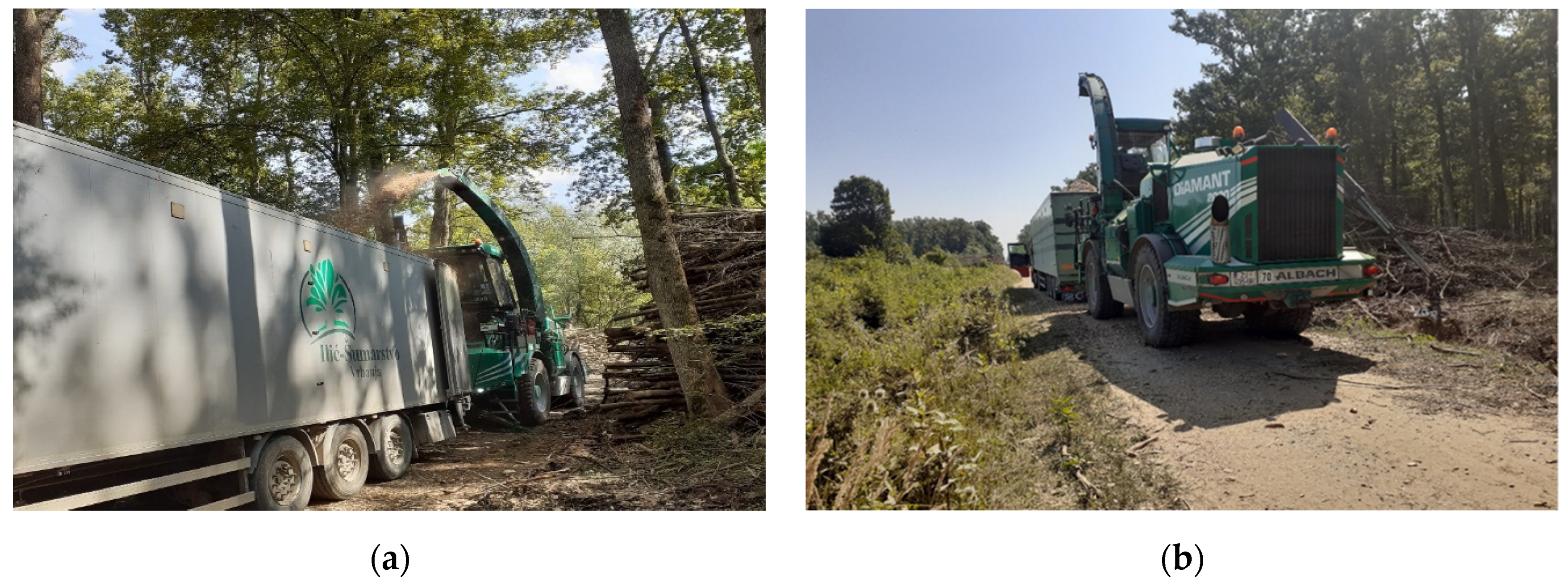 Forests 15 01101 g001