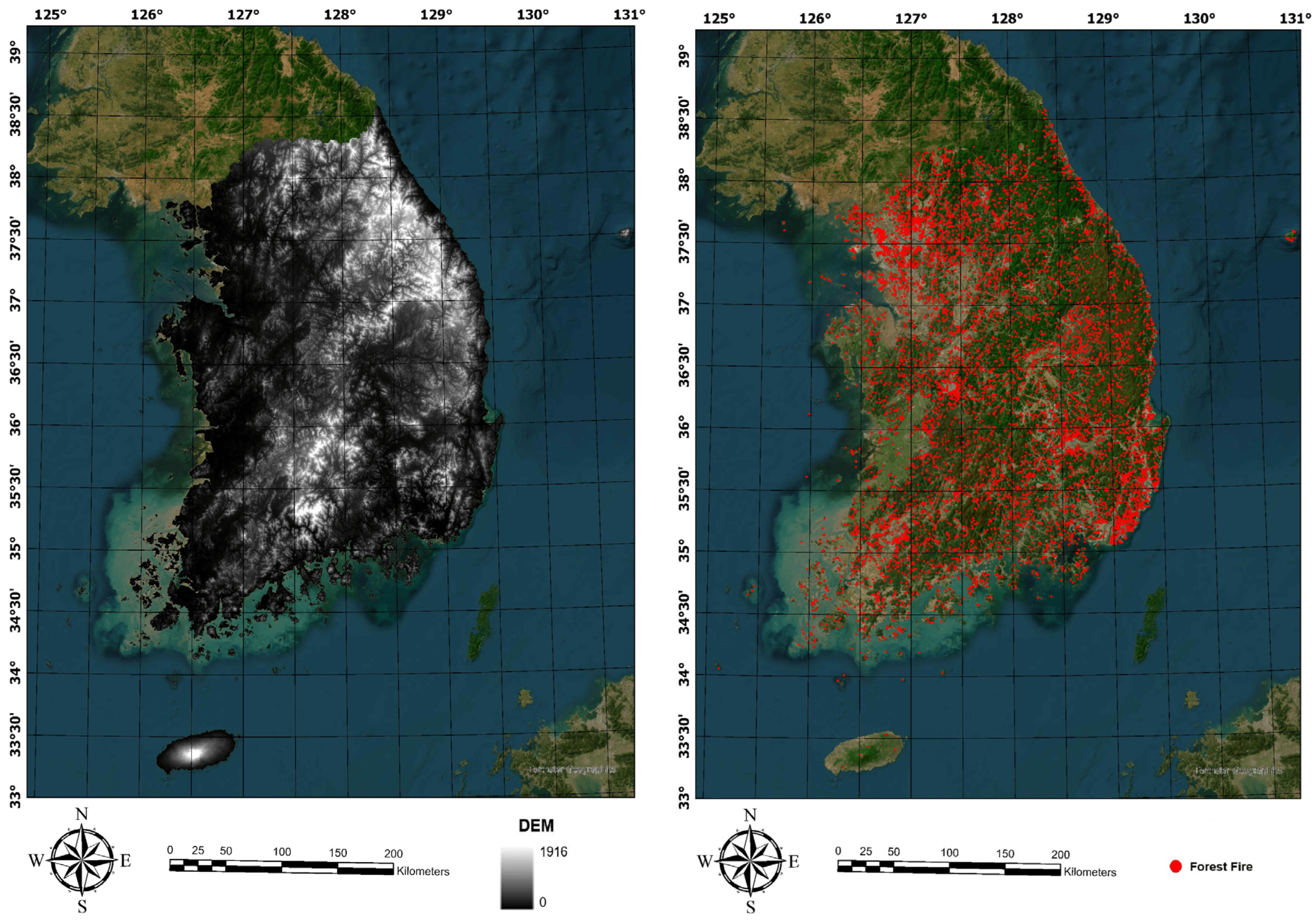 Forests 15 01103 g001 Forests 15 01103 g001