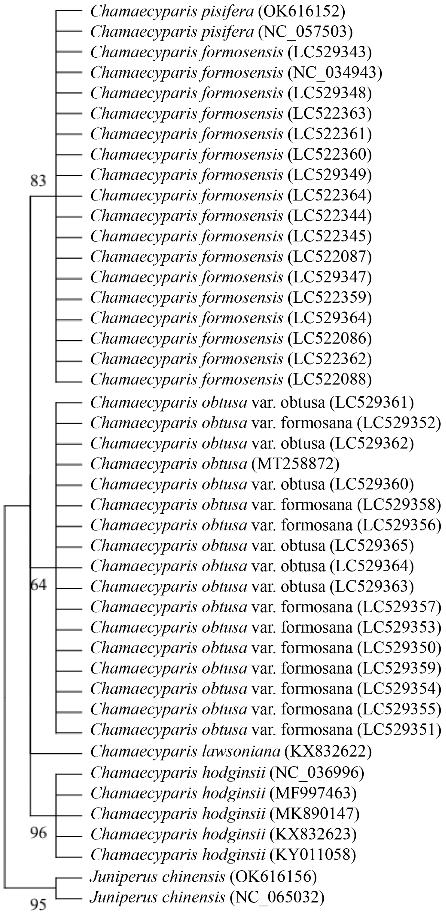 Forests 15 01106 g002