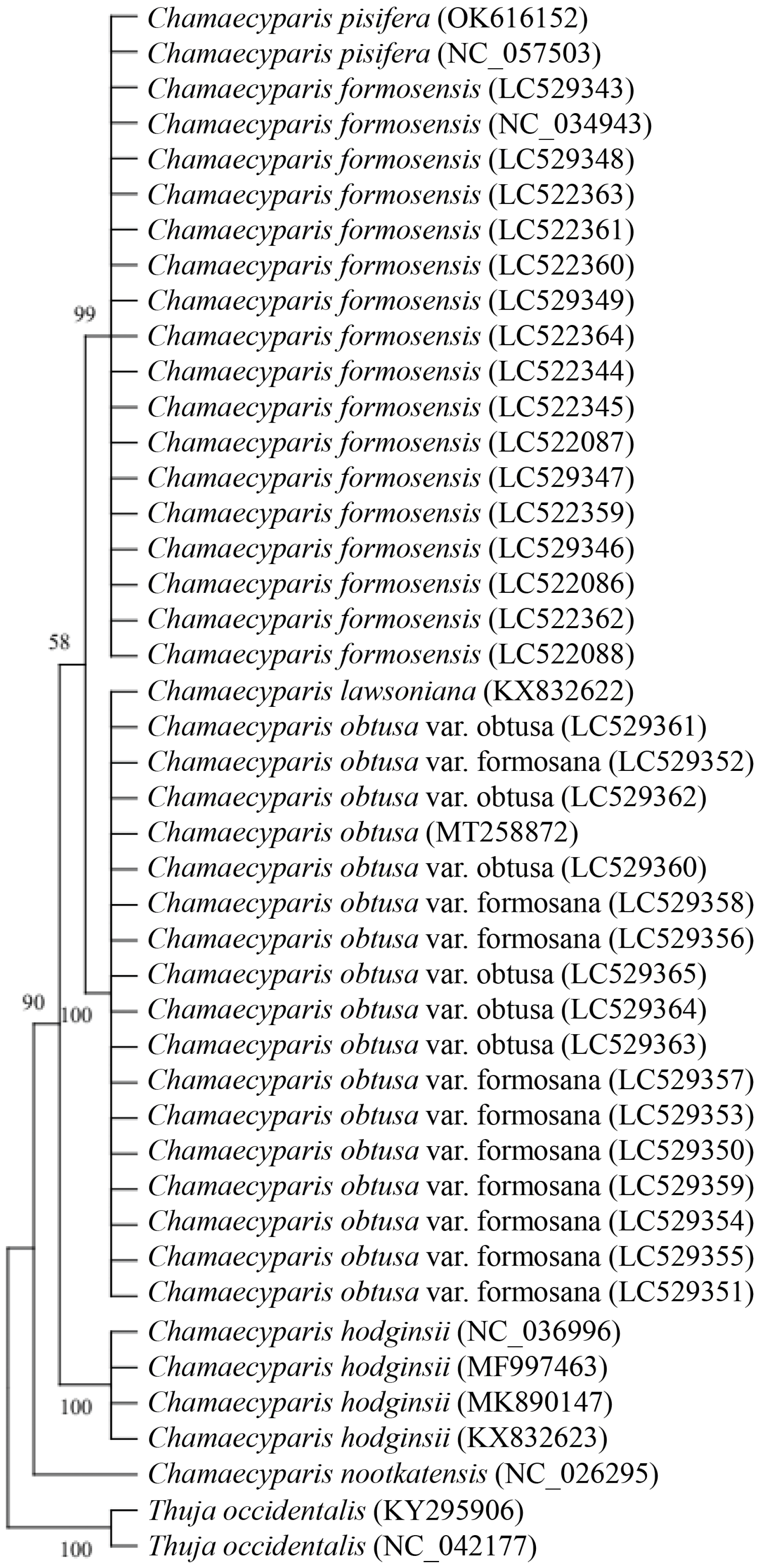 Forests 15 01106 g004