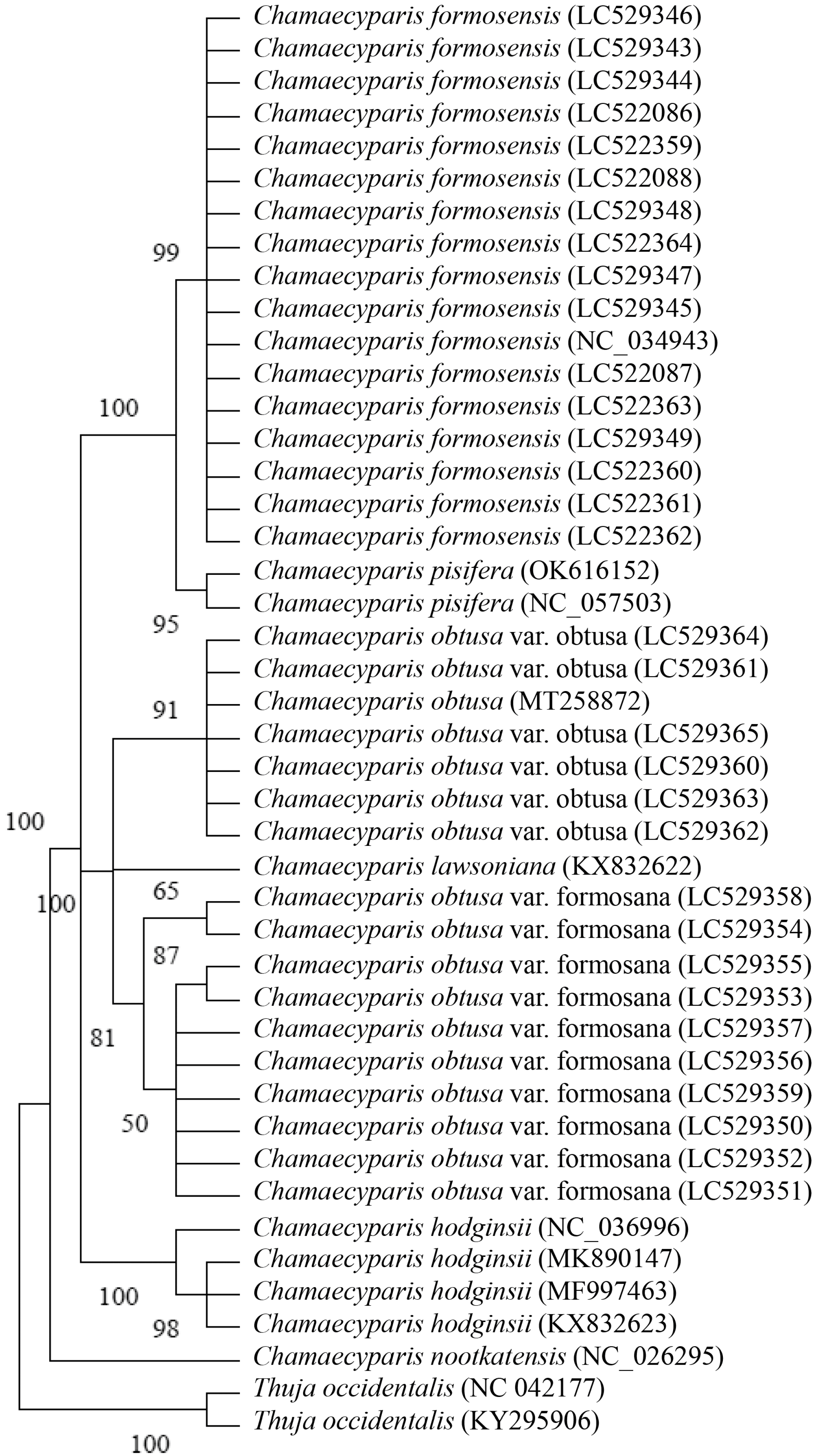 Forests 15 01106 g005
