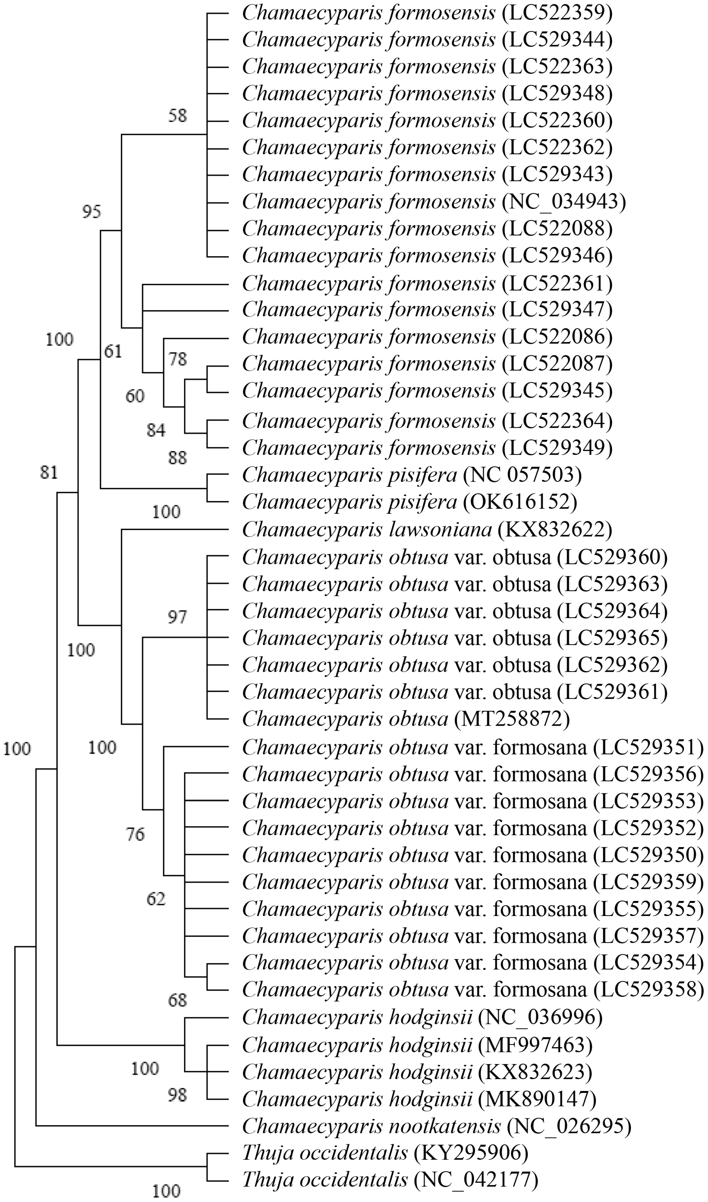 Forests 15 01106 g006