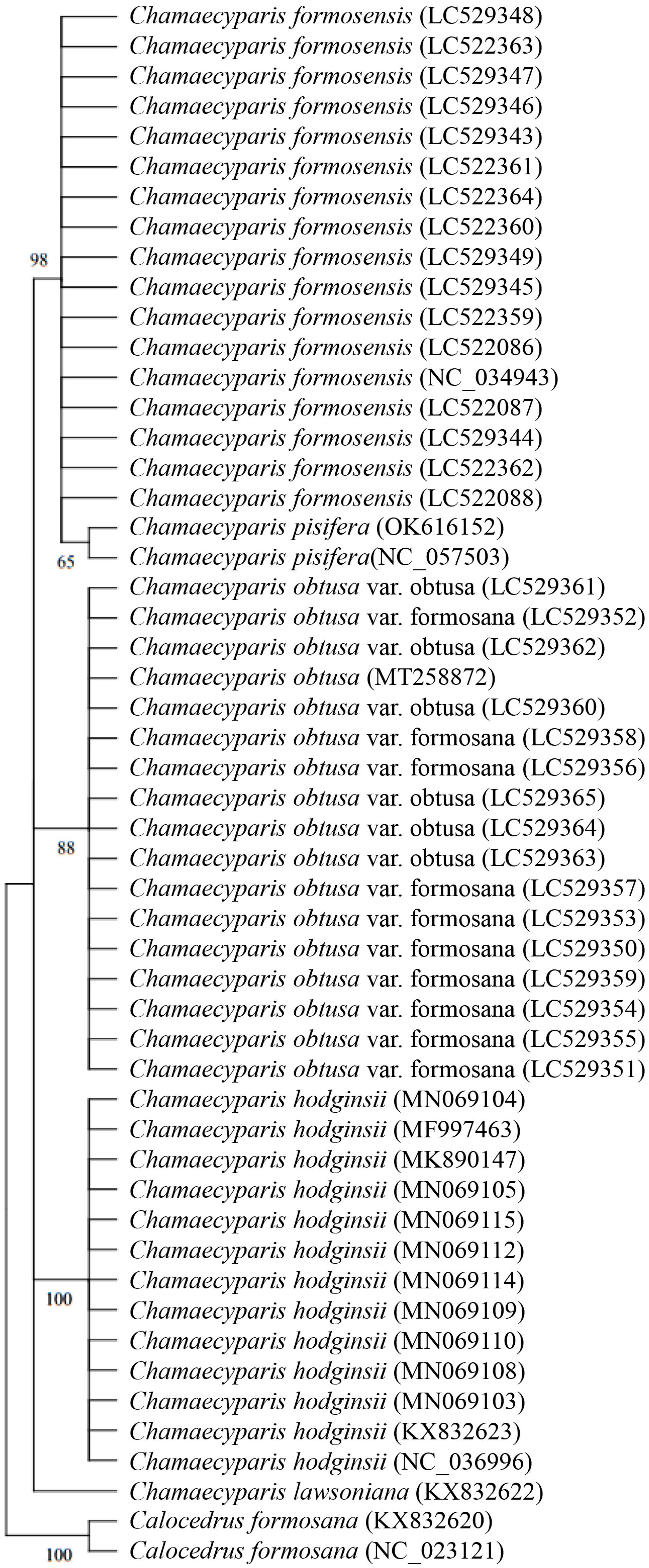 Forests 15 01106 g007