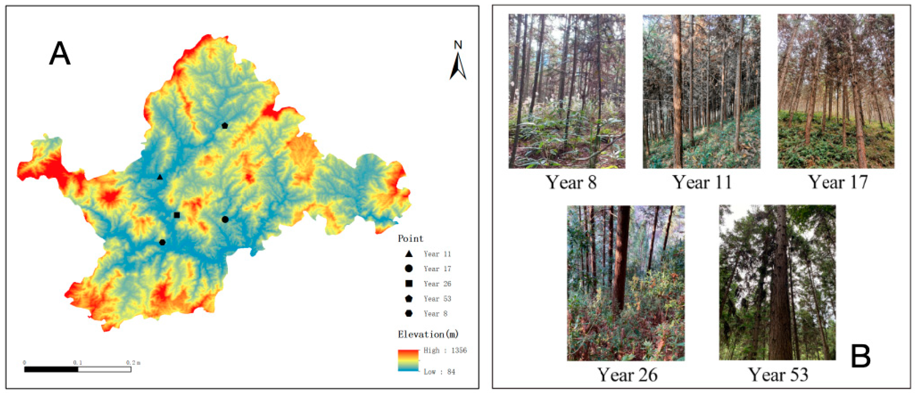 Forests 15 01107 g001