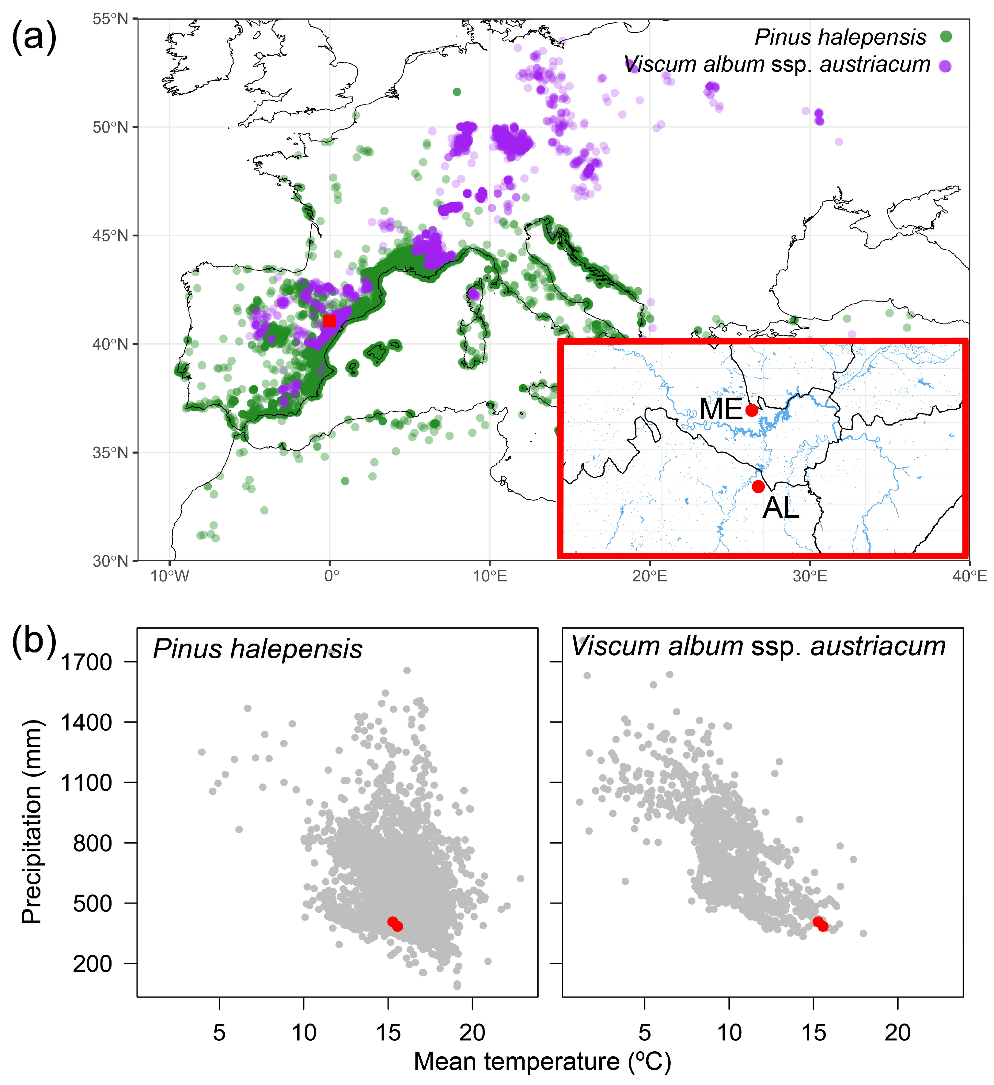 Forests 15 01113 g001
