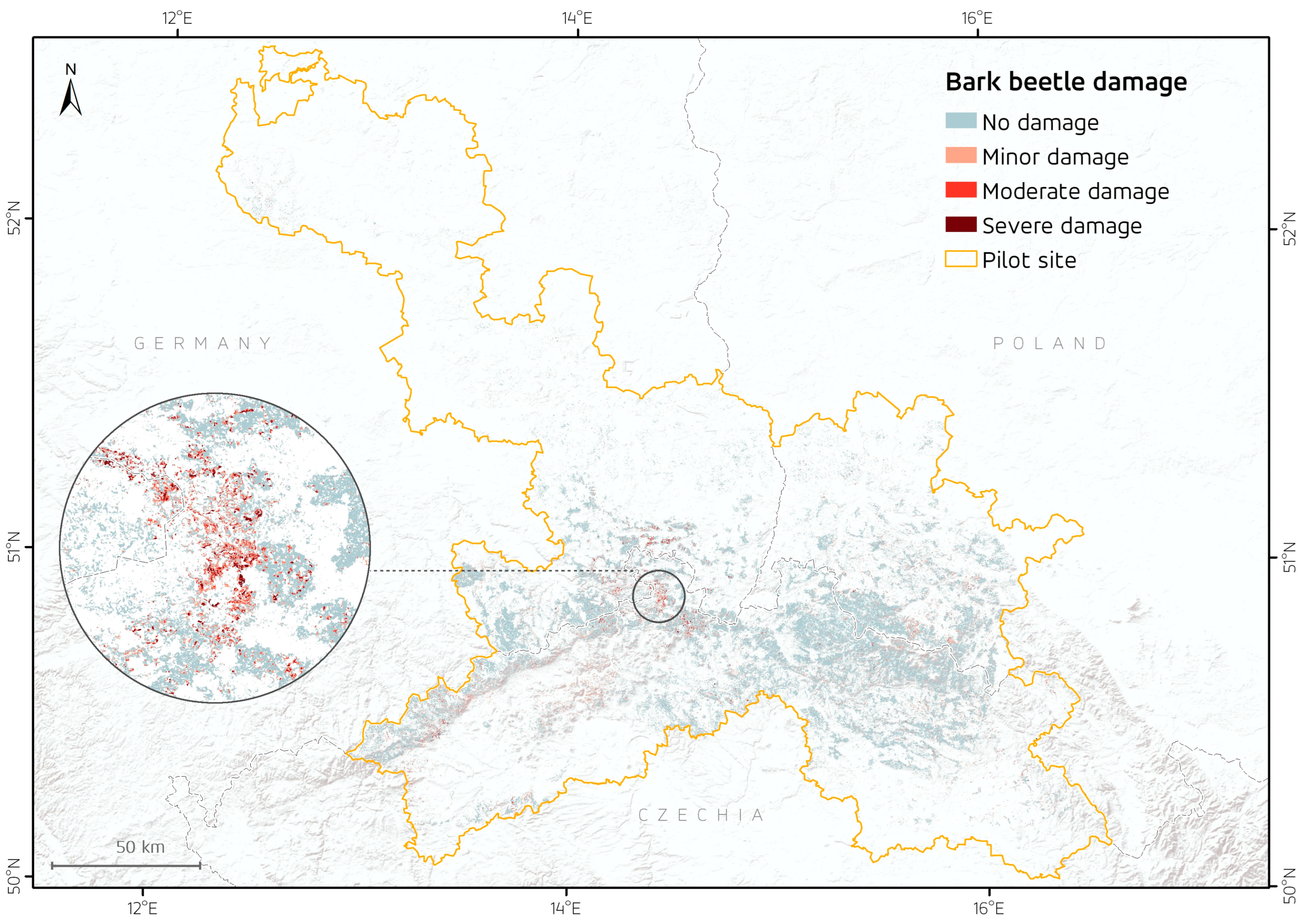 Forests 15 01114 g004