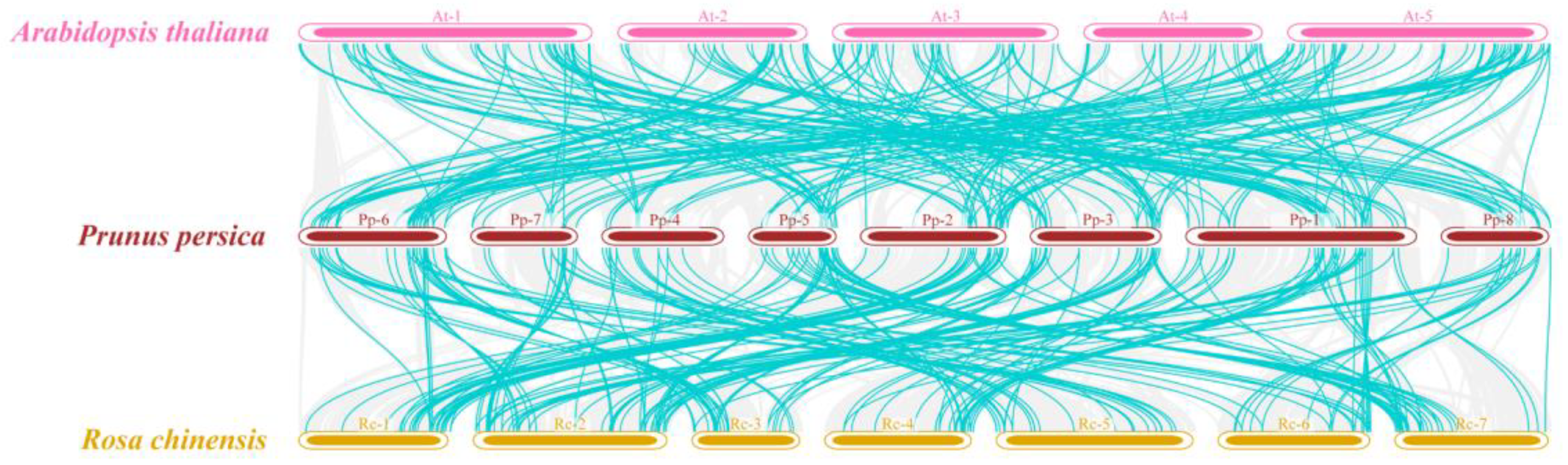 Forests 15 01119 g003