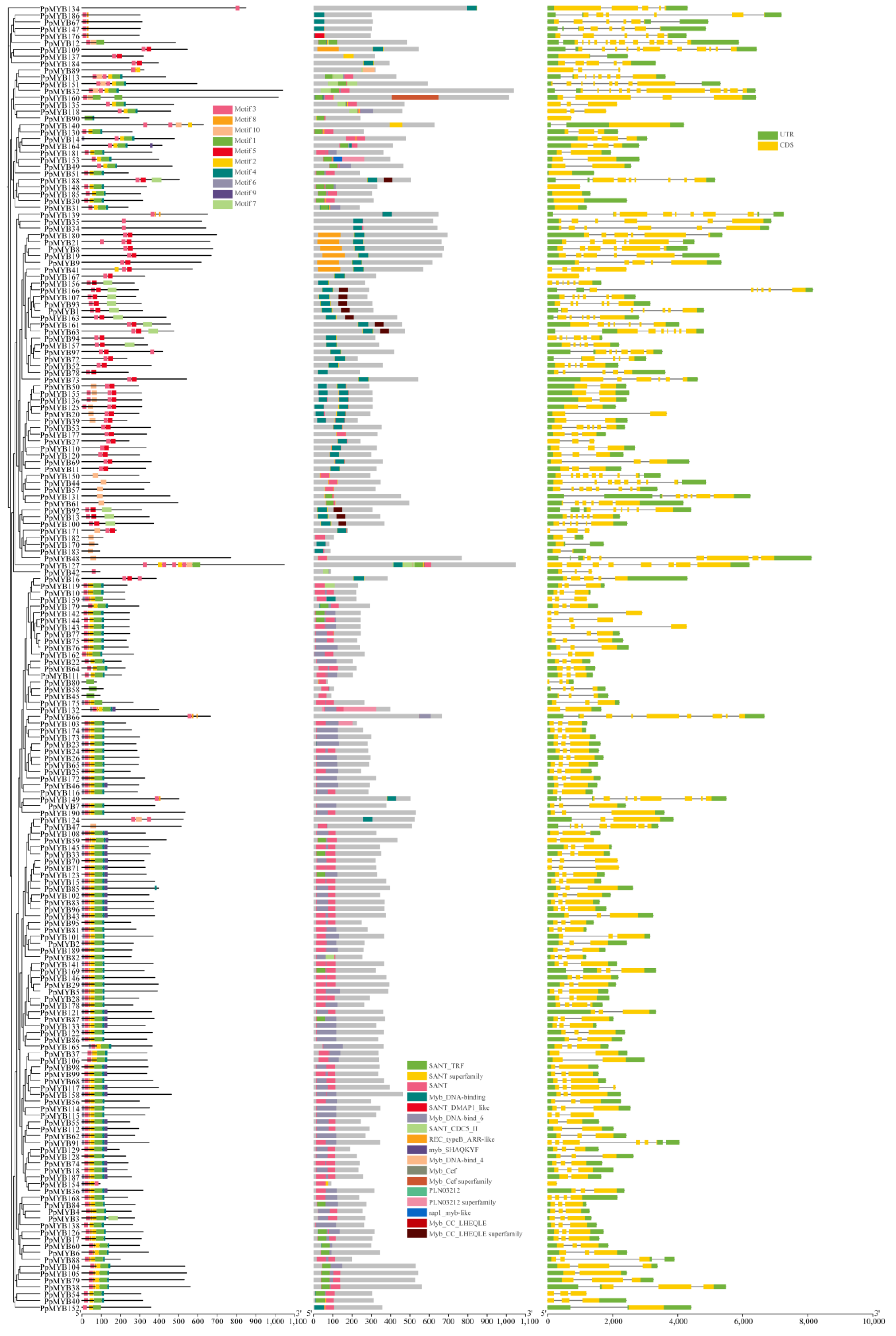 Forests 15 01119 g005