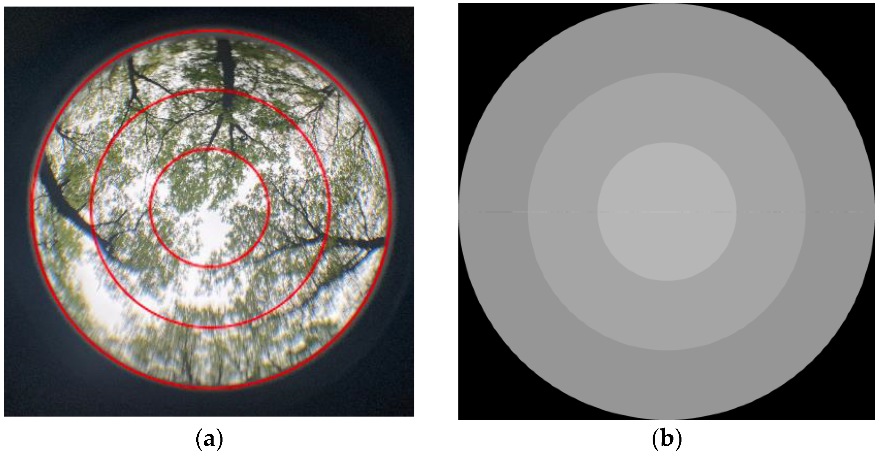 Forests 15 01121 g002