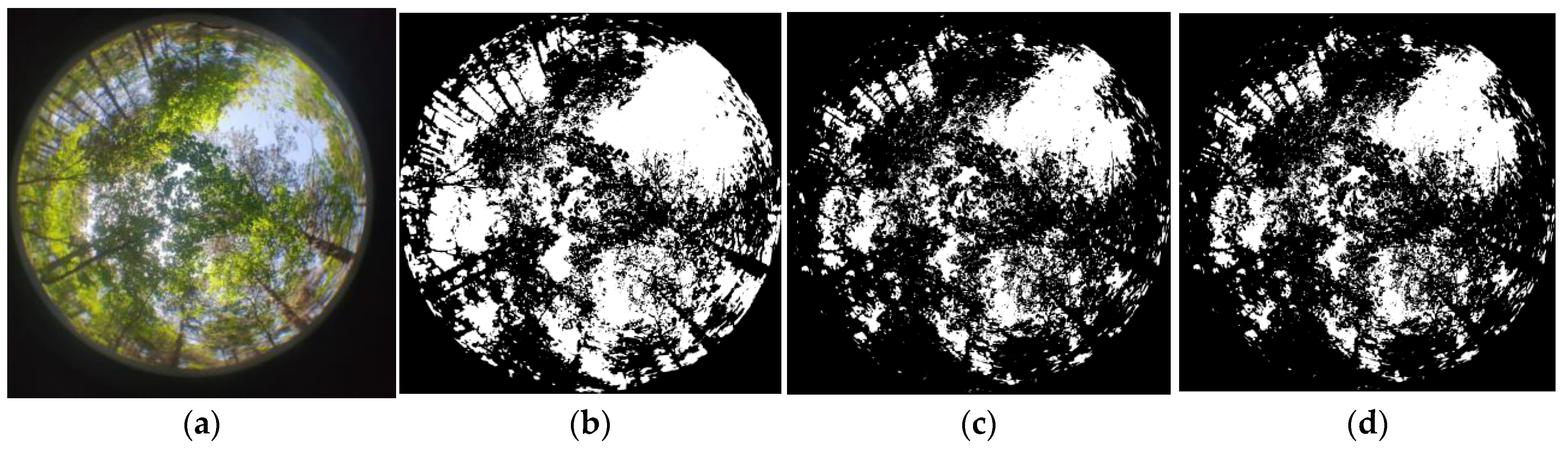 Forests 15 01121 g010