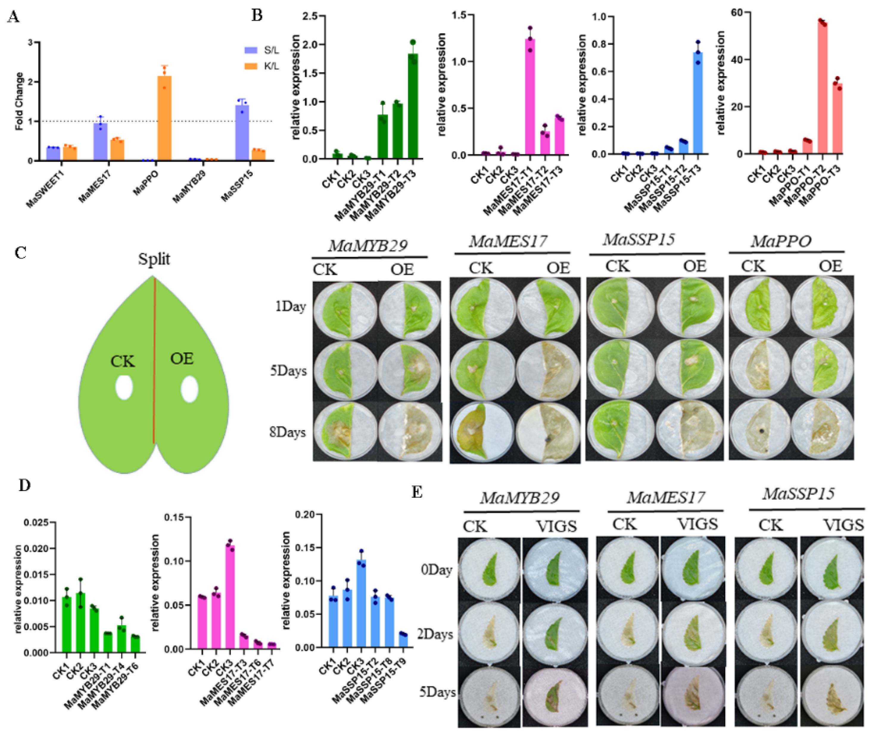 Forests 15 01126 g006 Forests 15 01126 g006