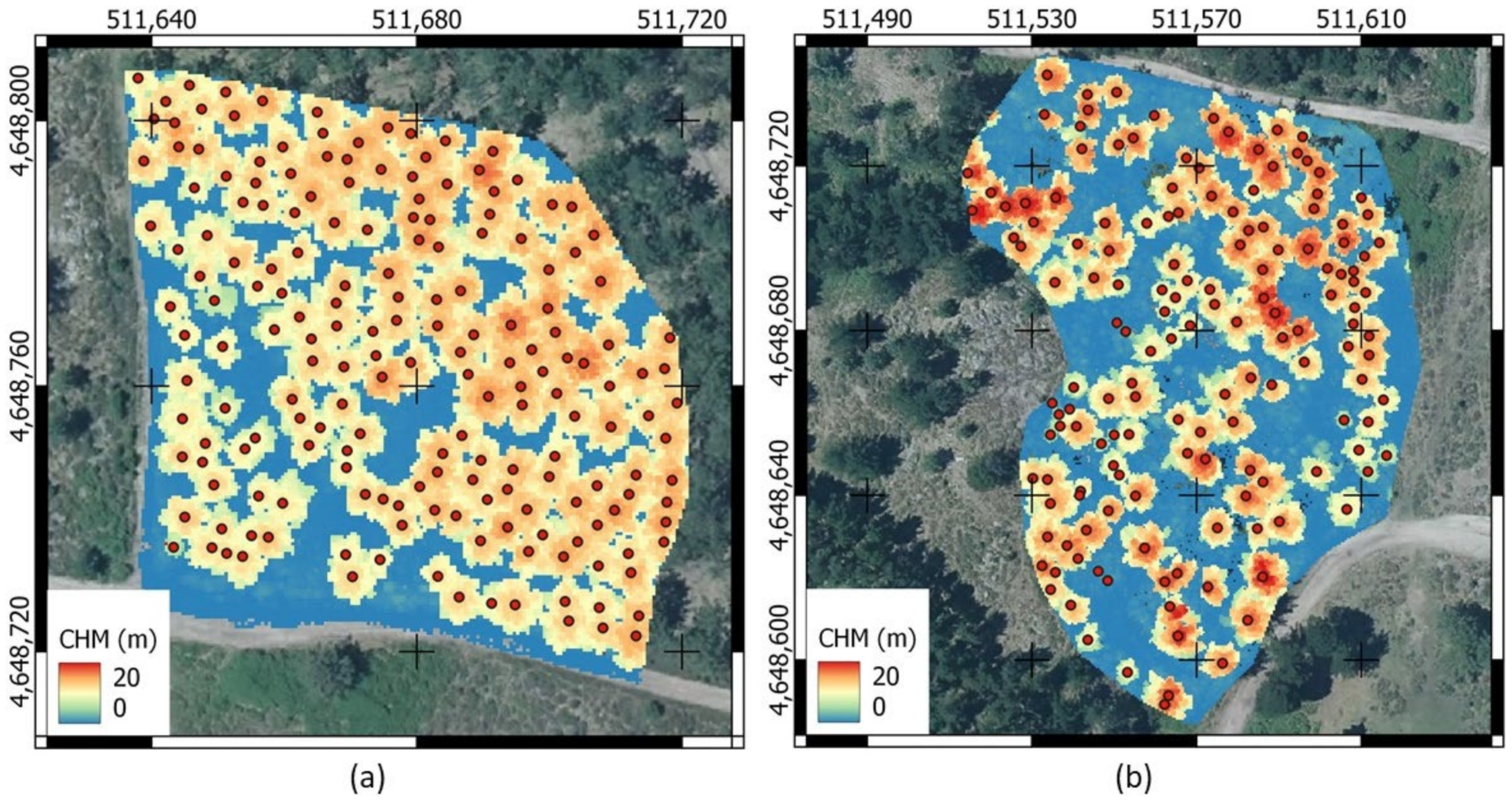 Forests 15 01133 g009