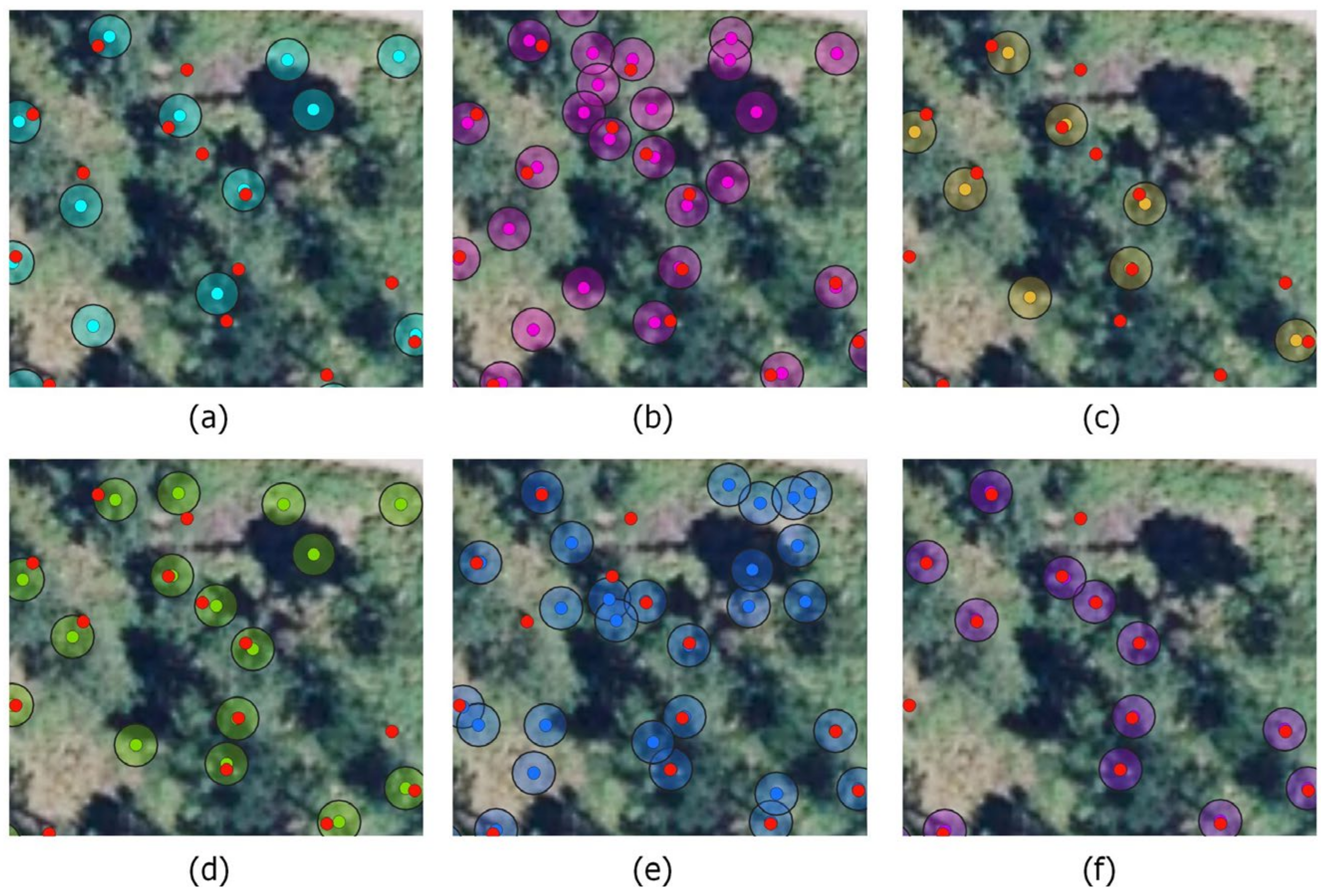 Forests 15 01133 g011