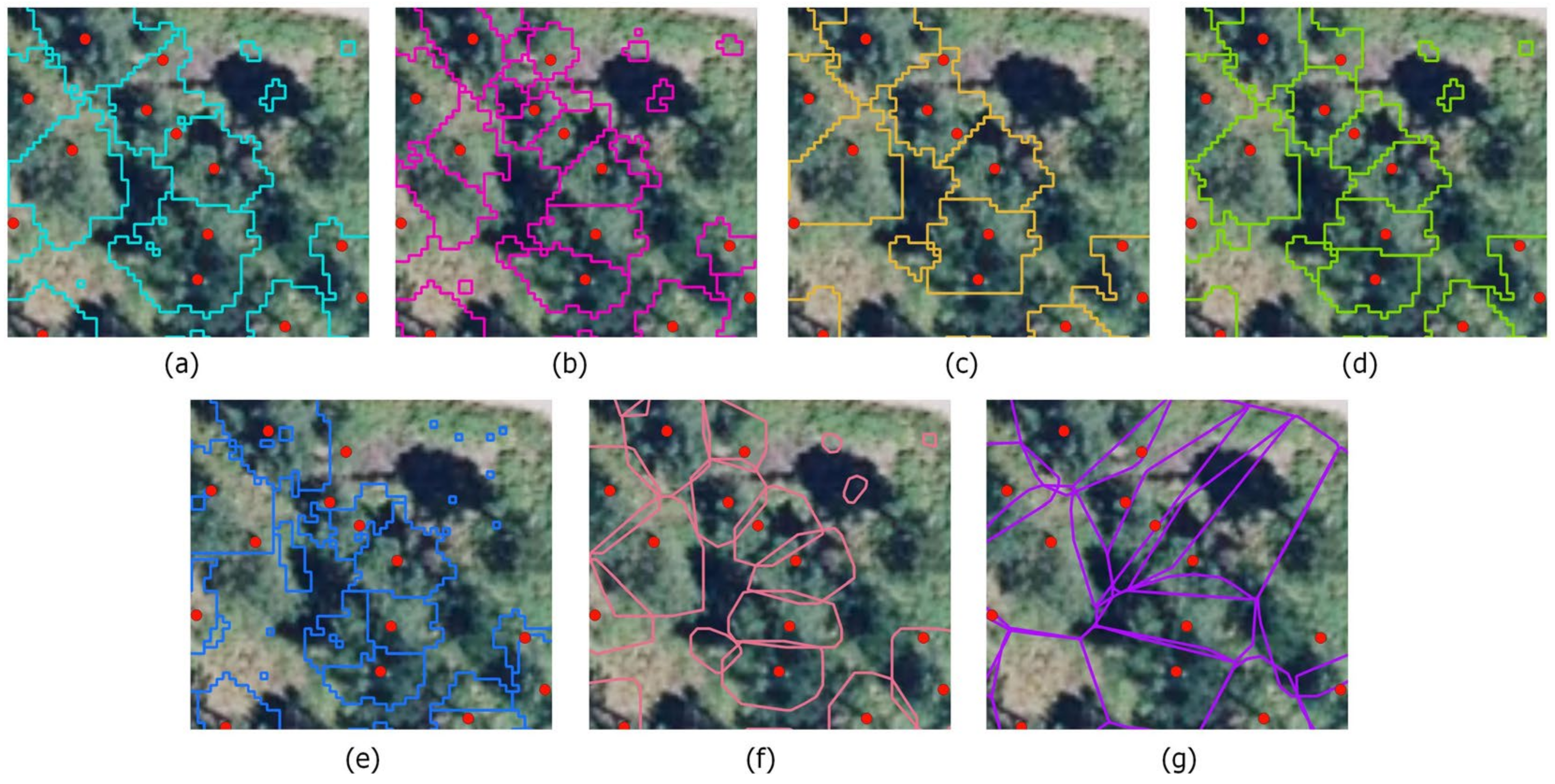 Forests 15 01133 g013