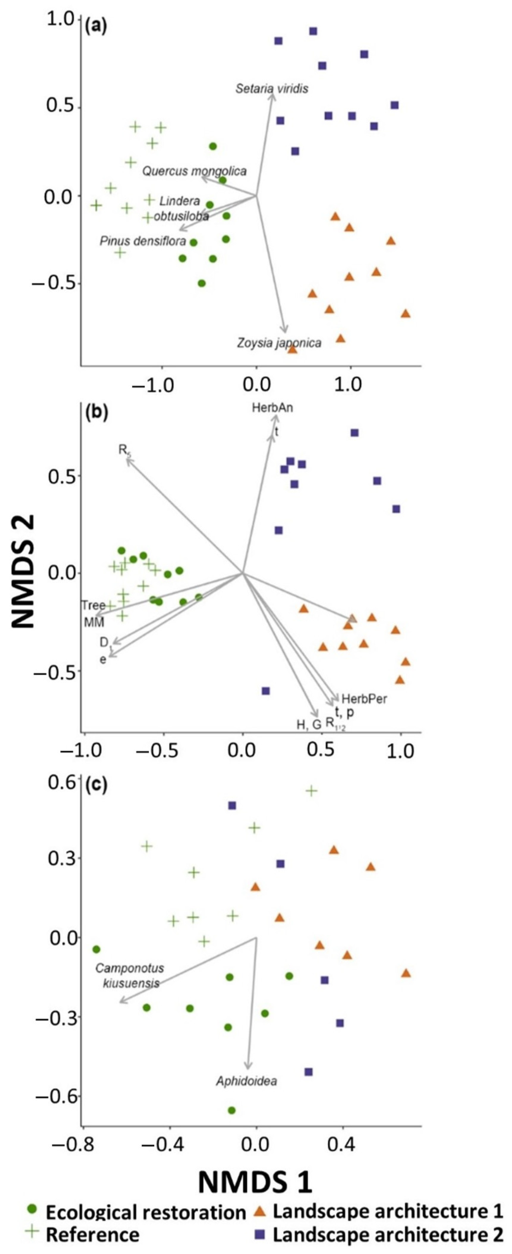 Forests 15 01134 g010
