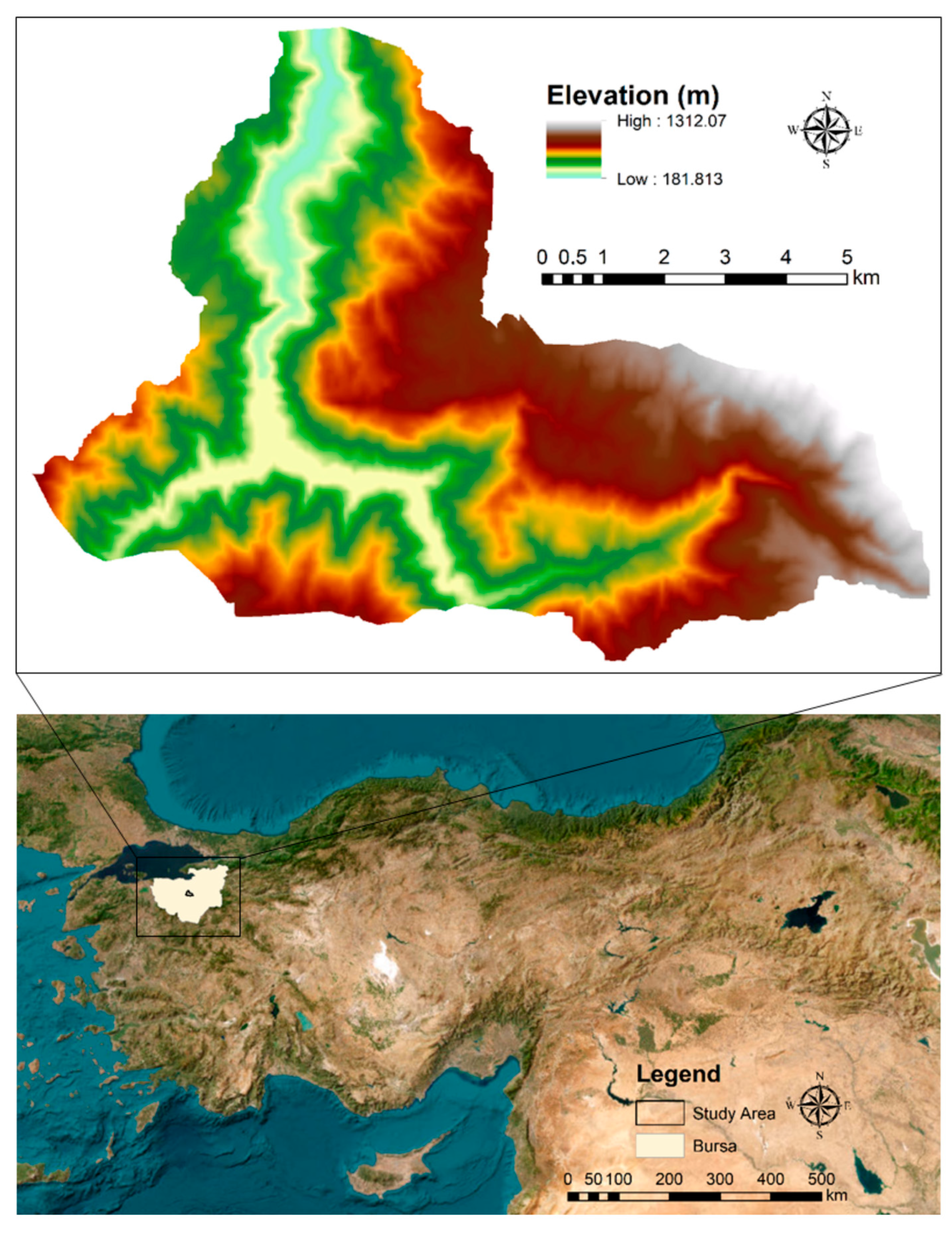 Forests 15 01135 g001