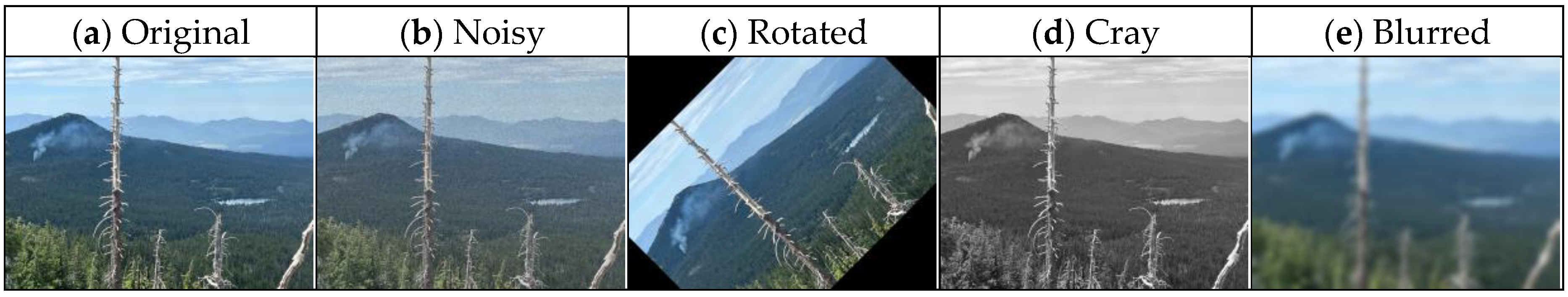 Forests 15 01137 g002
