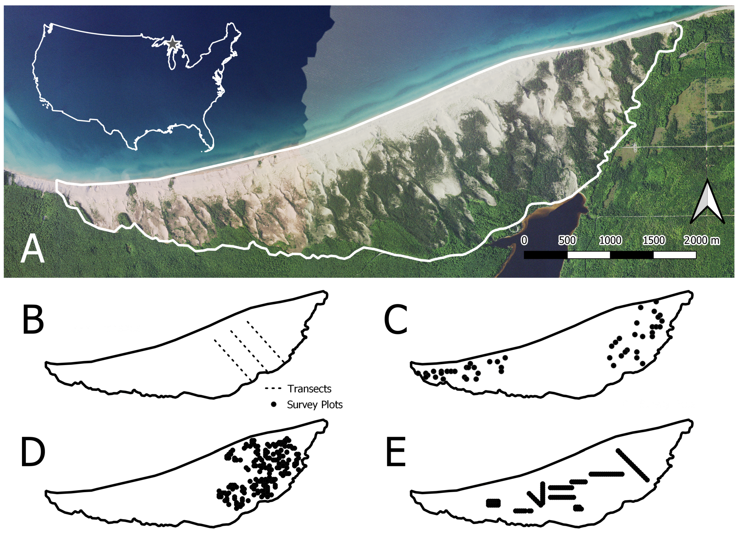 Forests 15 01138 g001