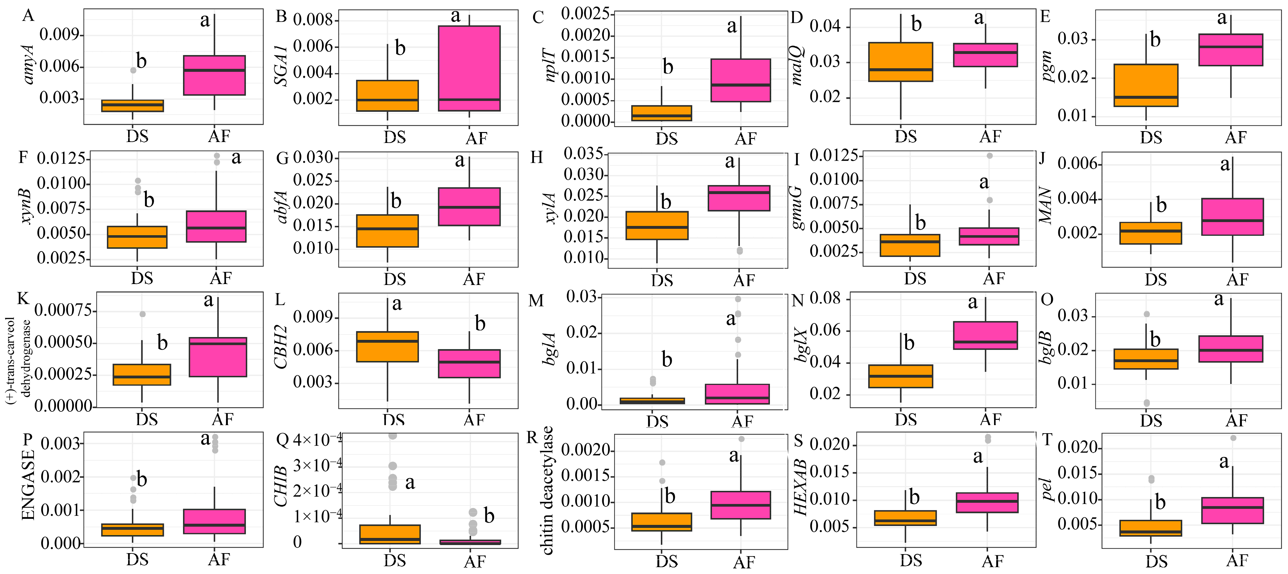 Forests 15 01140 g010