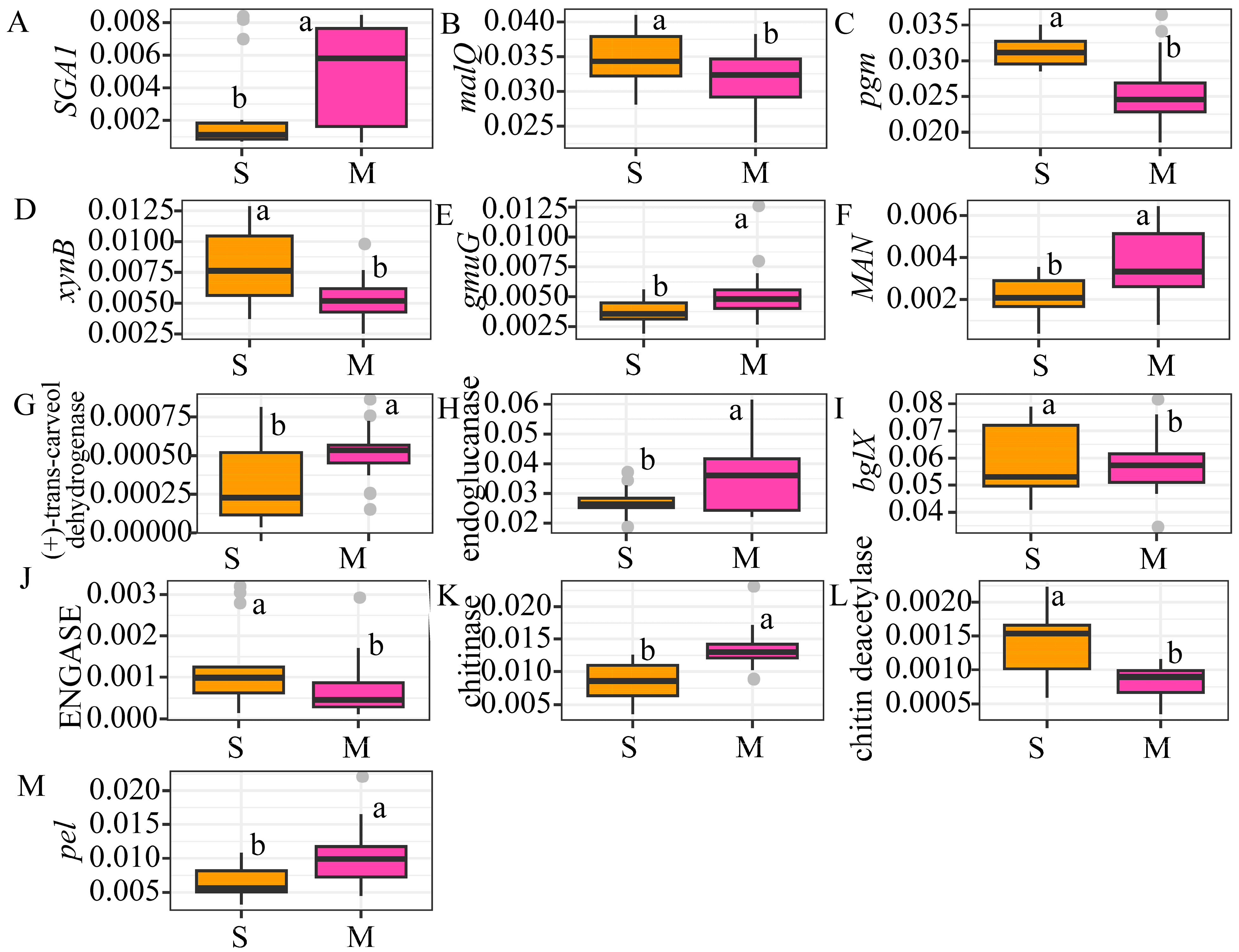 Forests 15 01140 g011