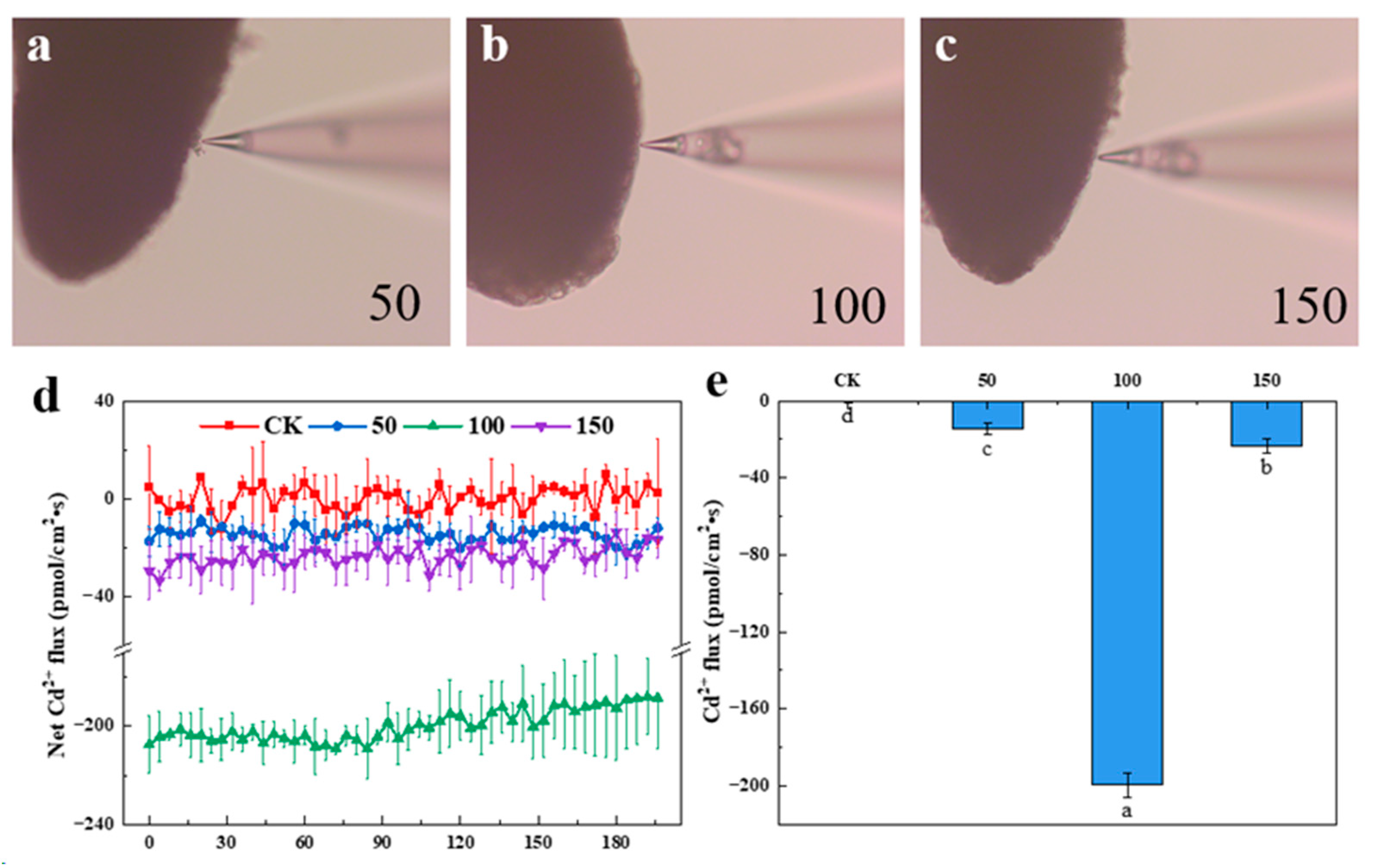 Forests 15 01141 g001
