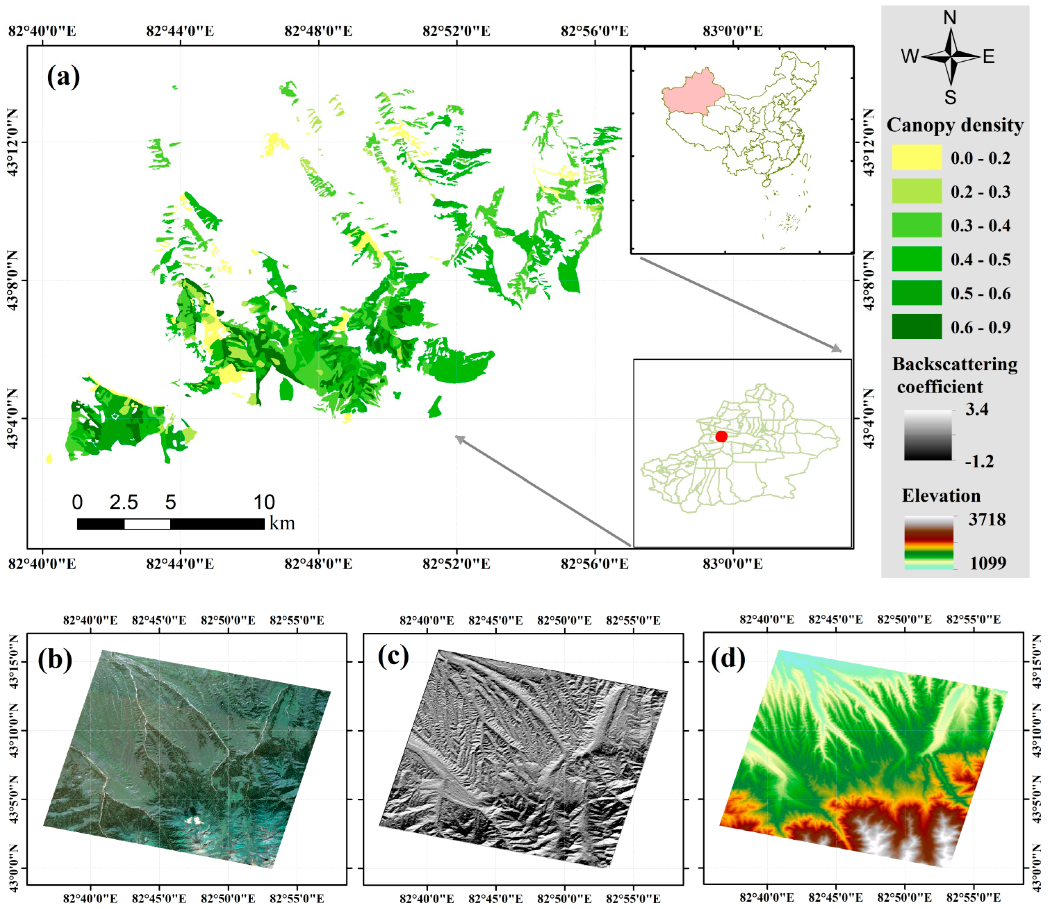 Forests 15 01145 g001
