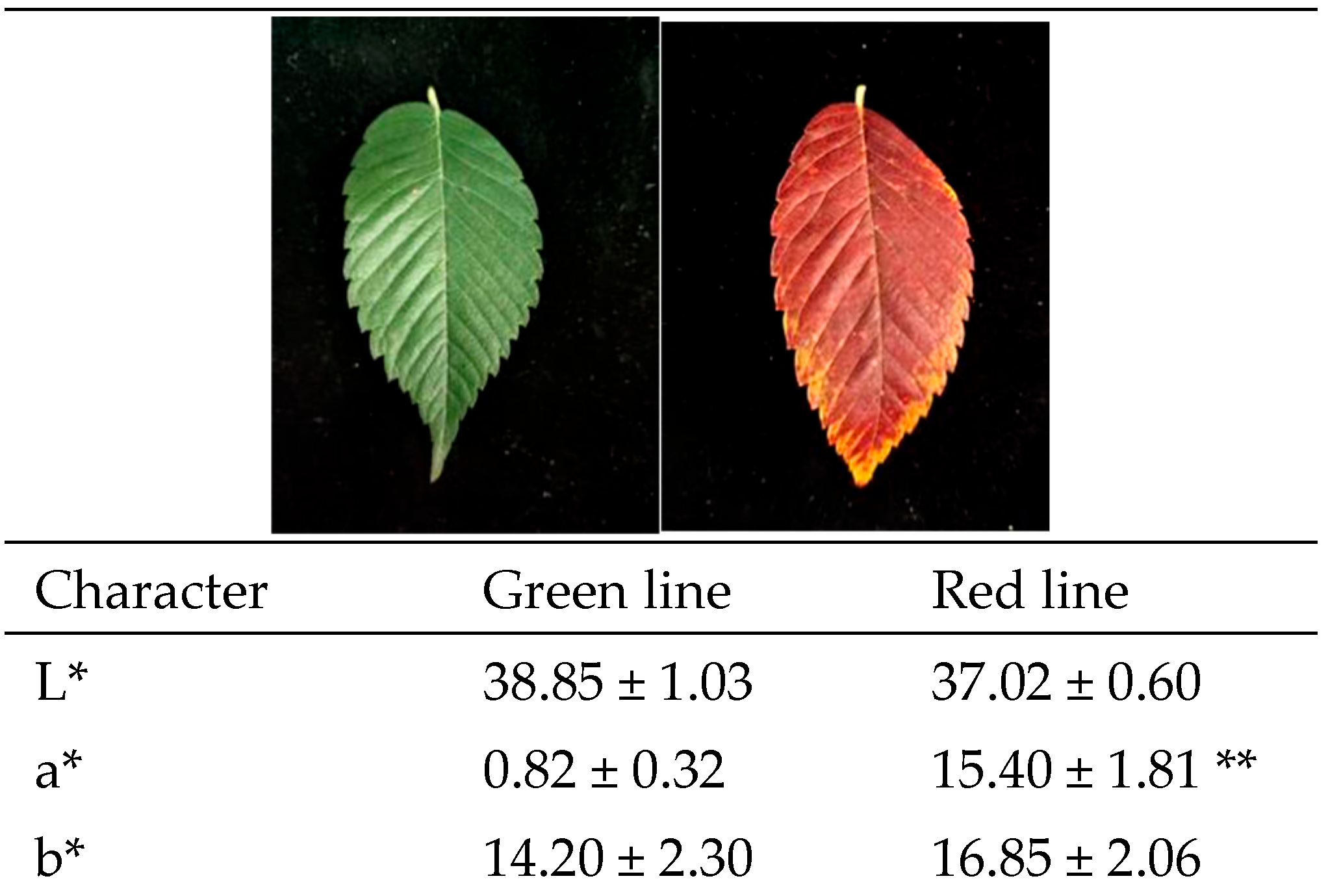 Forests 15 01146 g002