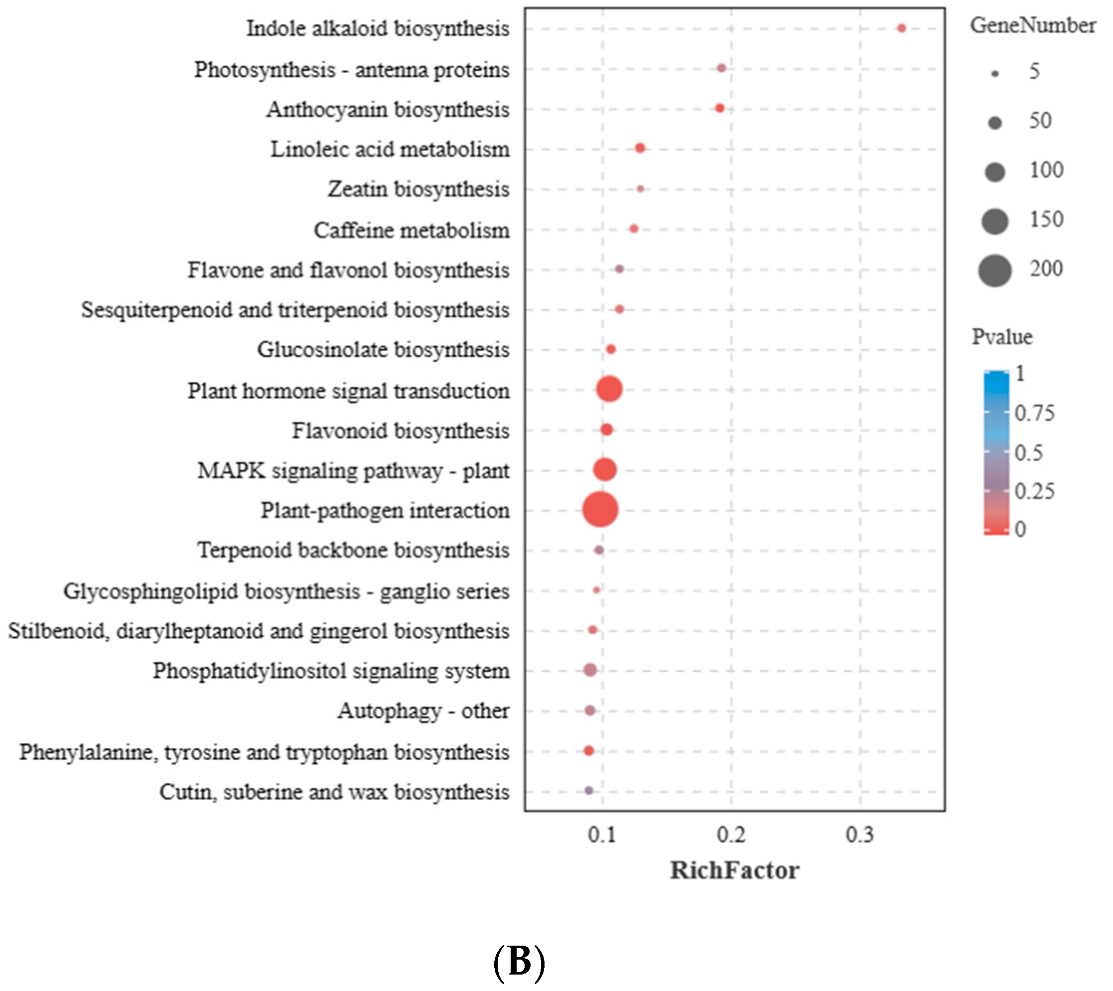 Forests 15 01146 g006b