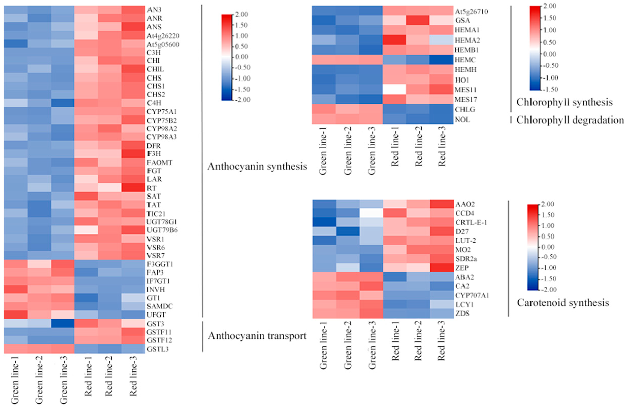 Forests 15 01146 g007