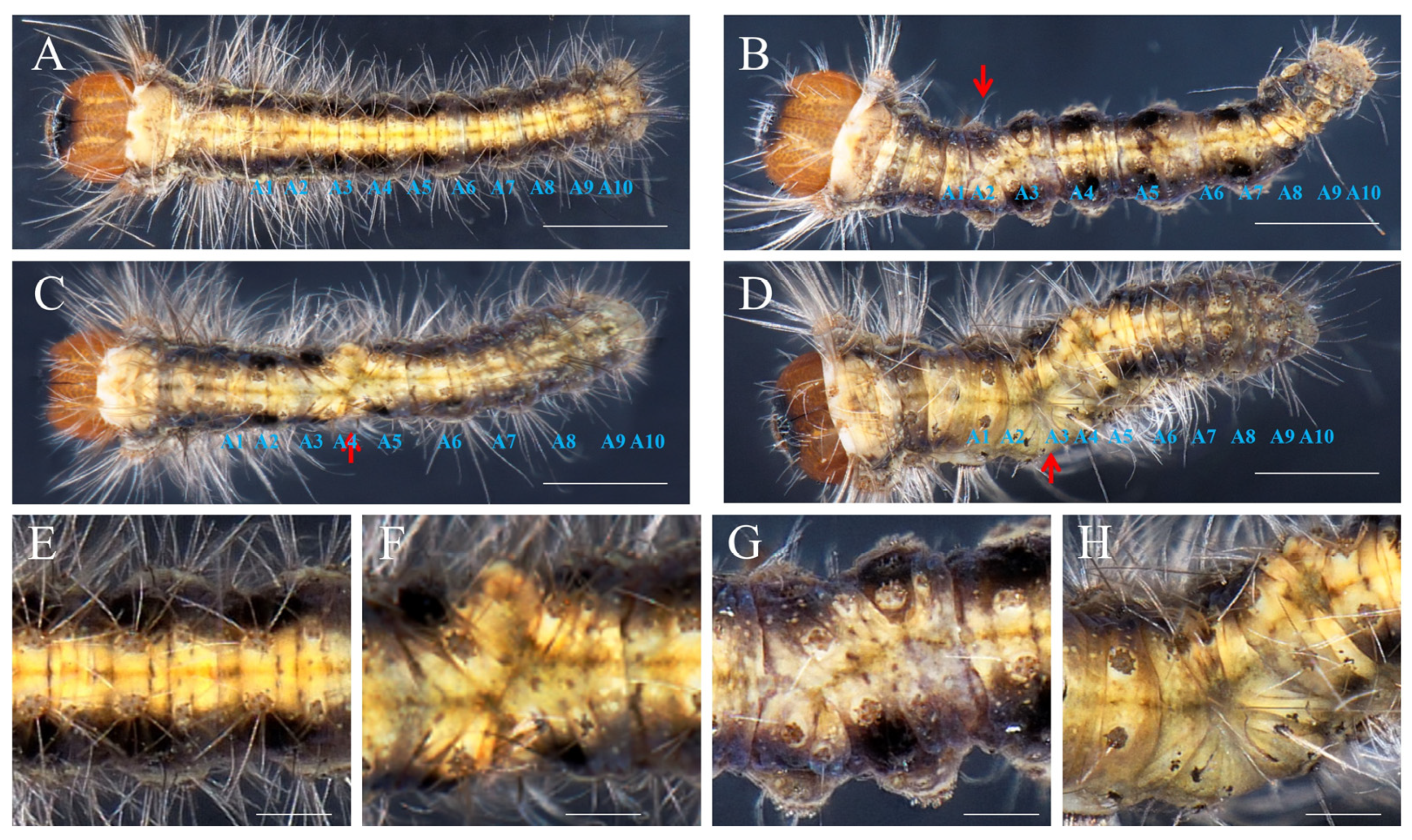 Forests 15 01157 g005