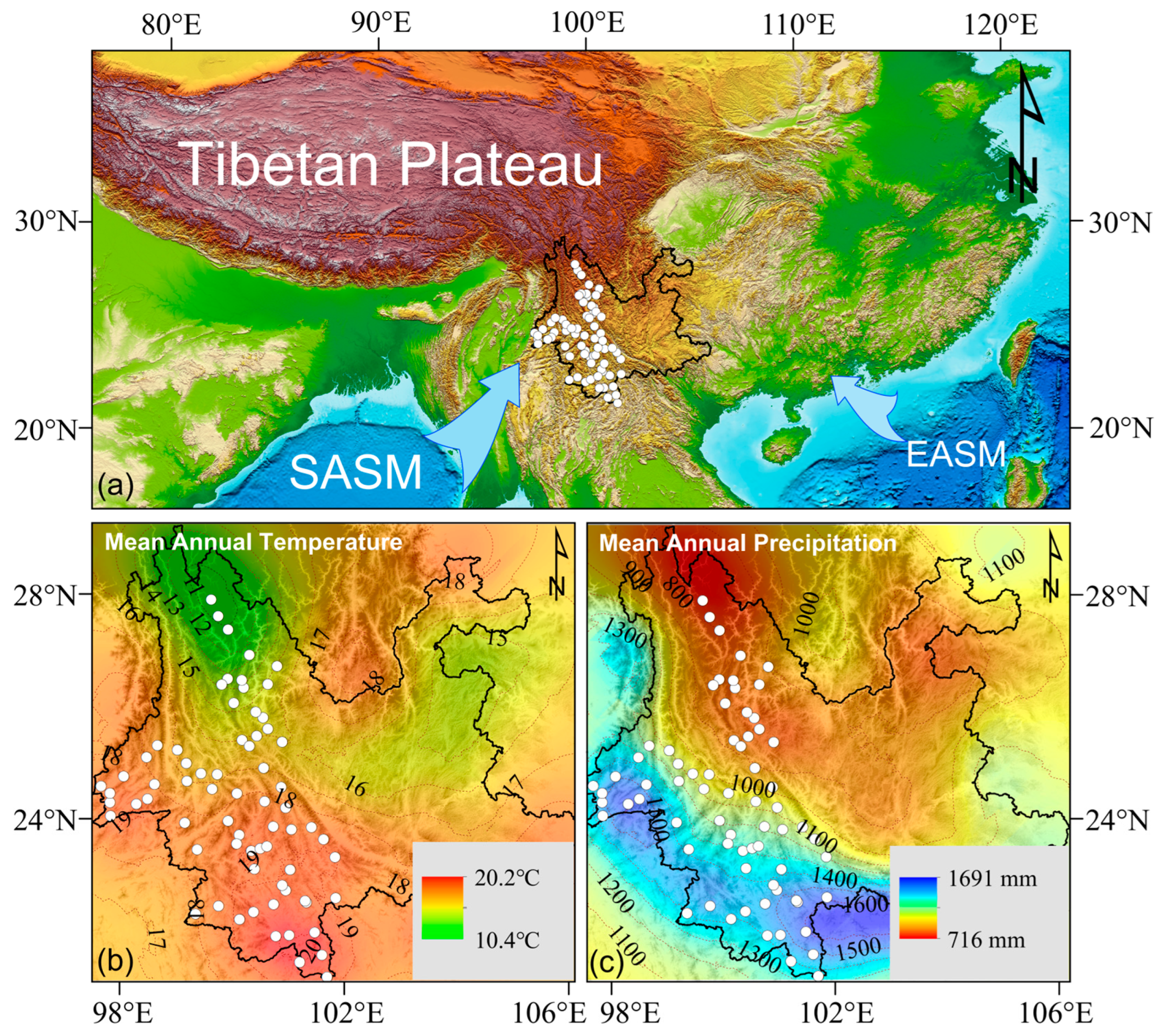 Forests 15 01163 g001