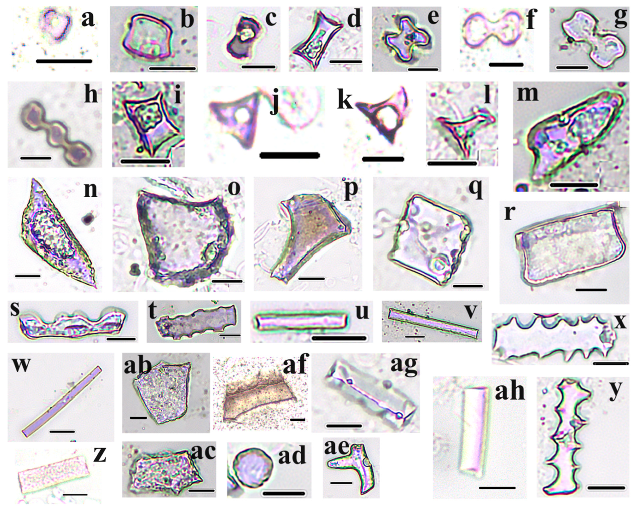 Forests 15 01163 g003