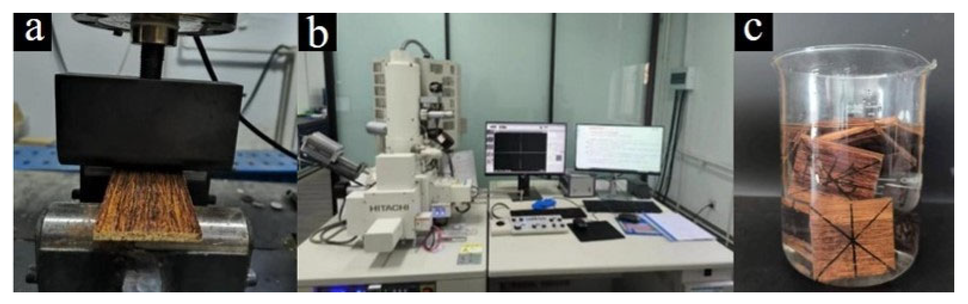 Forests 15 01173 g002