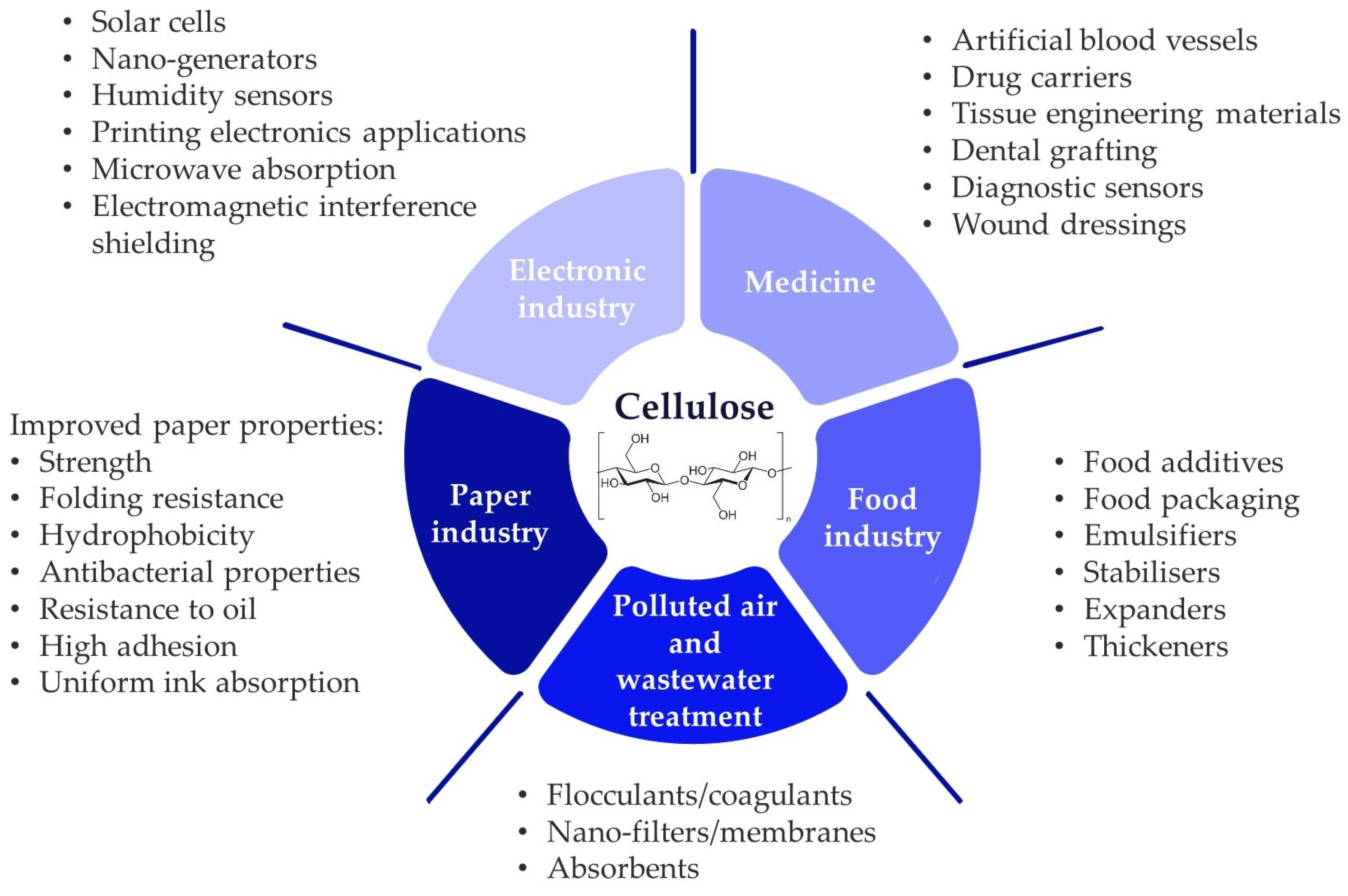 Forests 15 01174 g001
