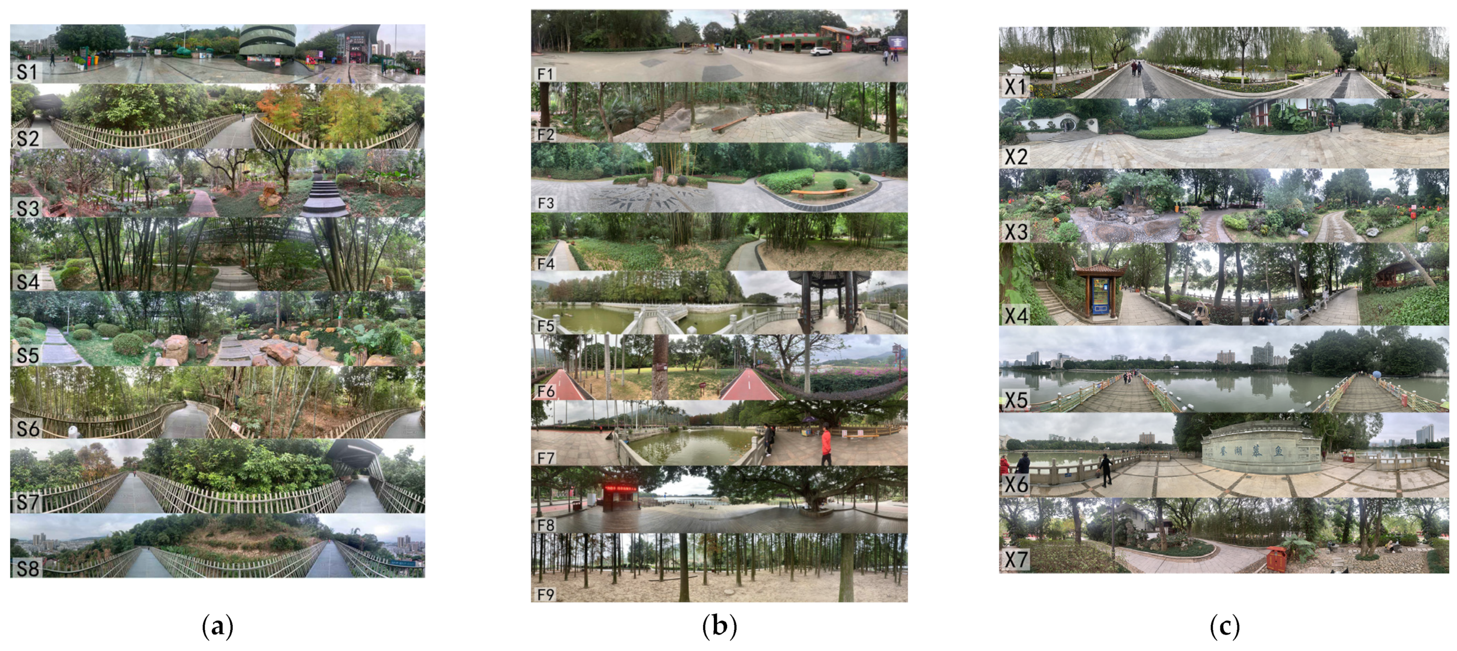 Forests 15 01183 g003