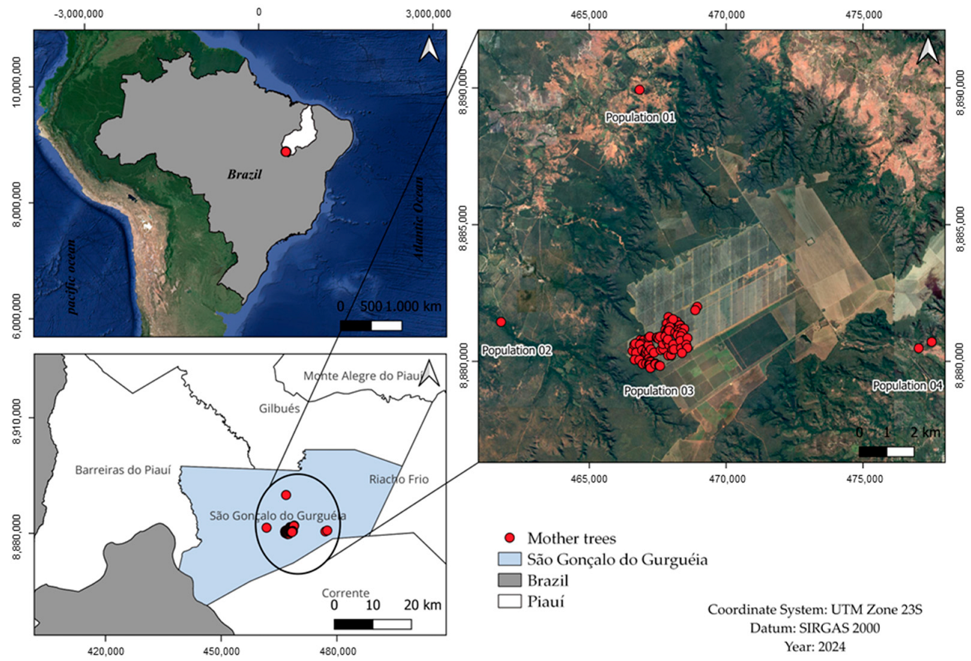 Forests 15 01184 g001