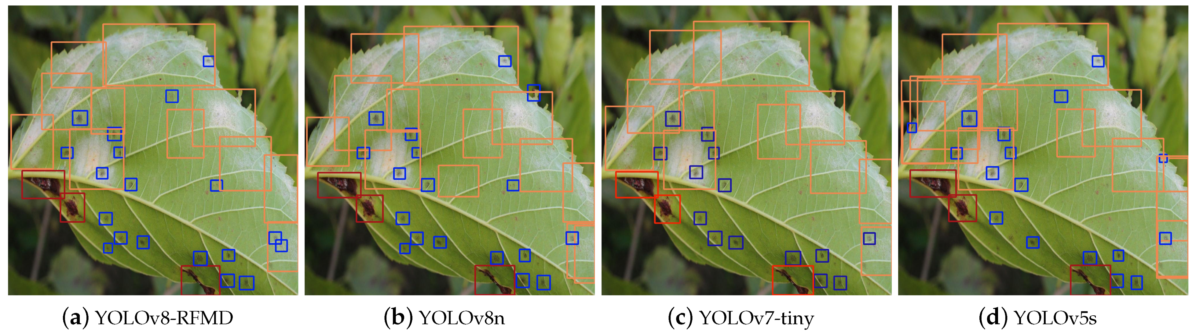 Forests 15 01188 g011