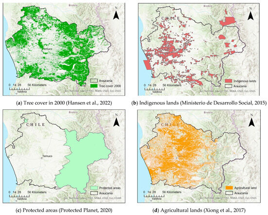 Guardians of the Forest: The Impact of Indigenous Peoples on Forest ...