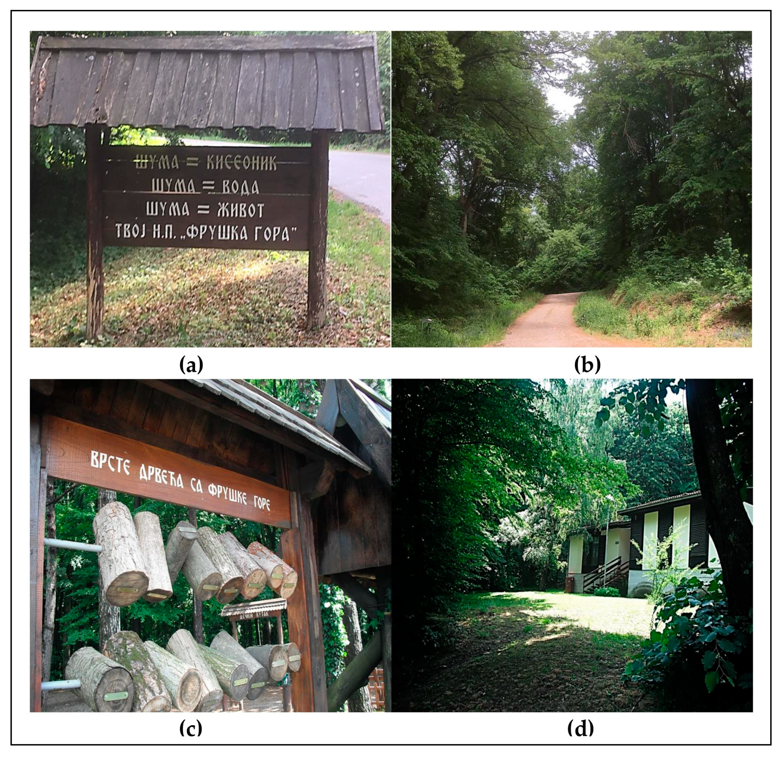 Forests 15 01213 g002