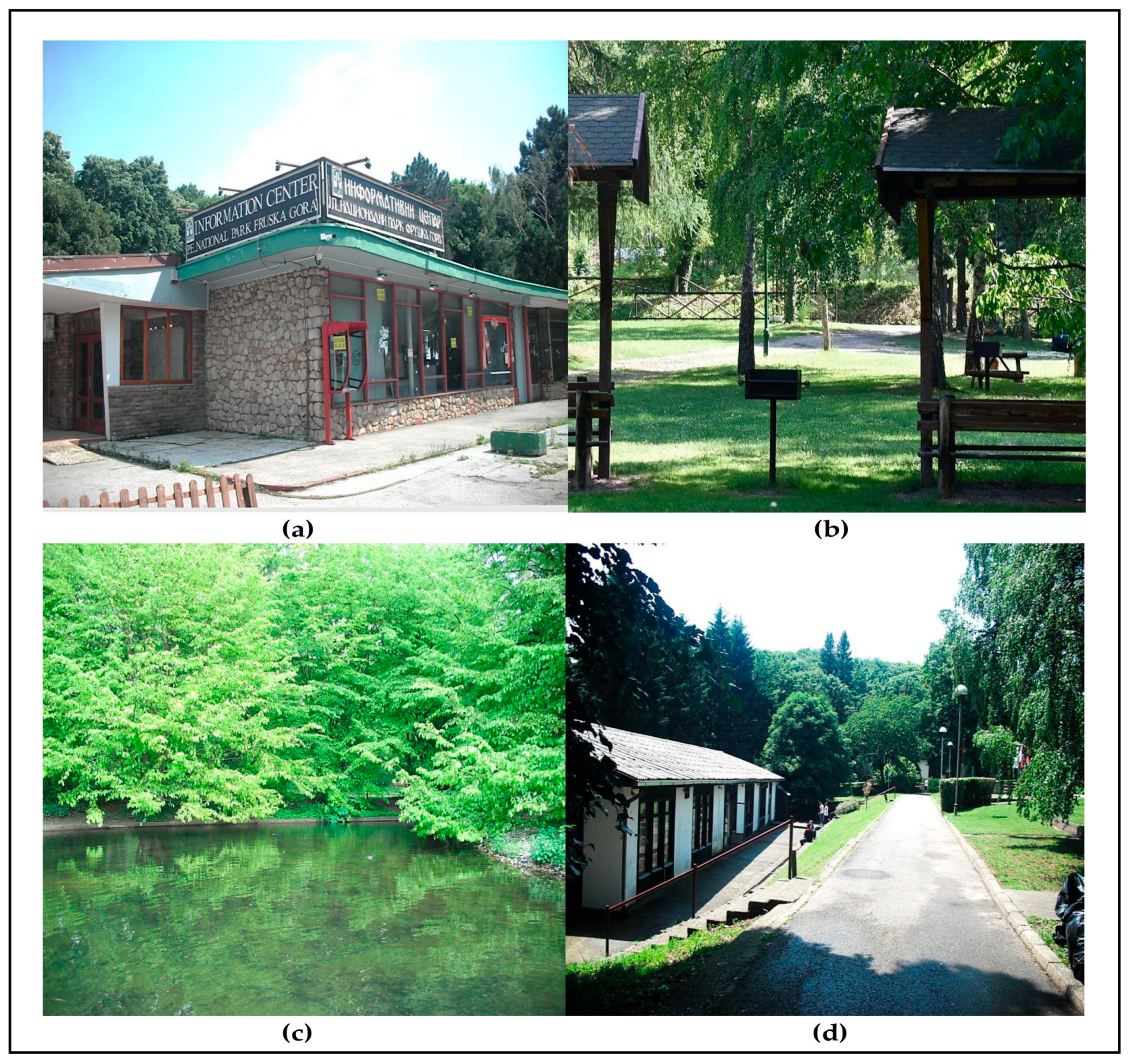 Forests 15 01213 g003