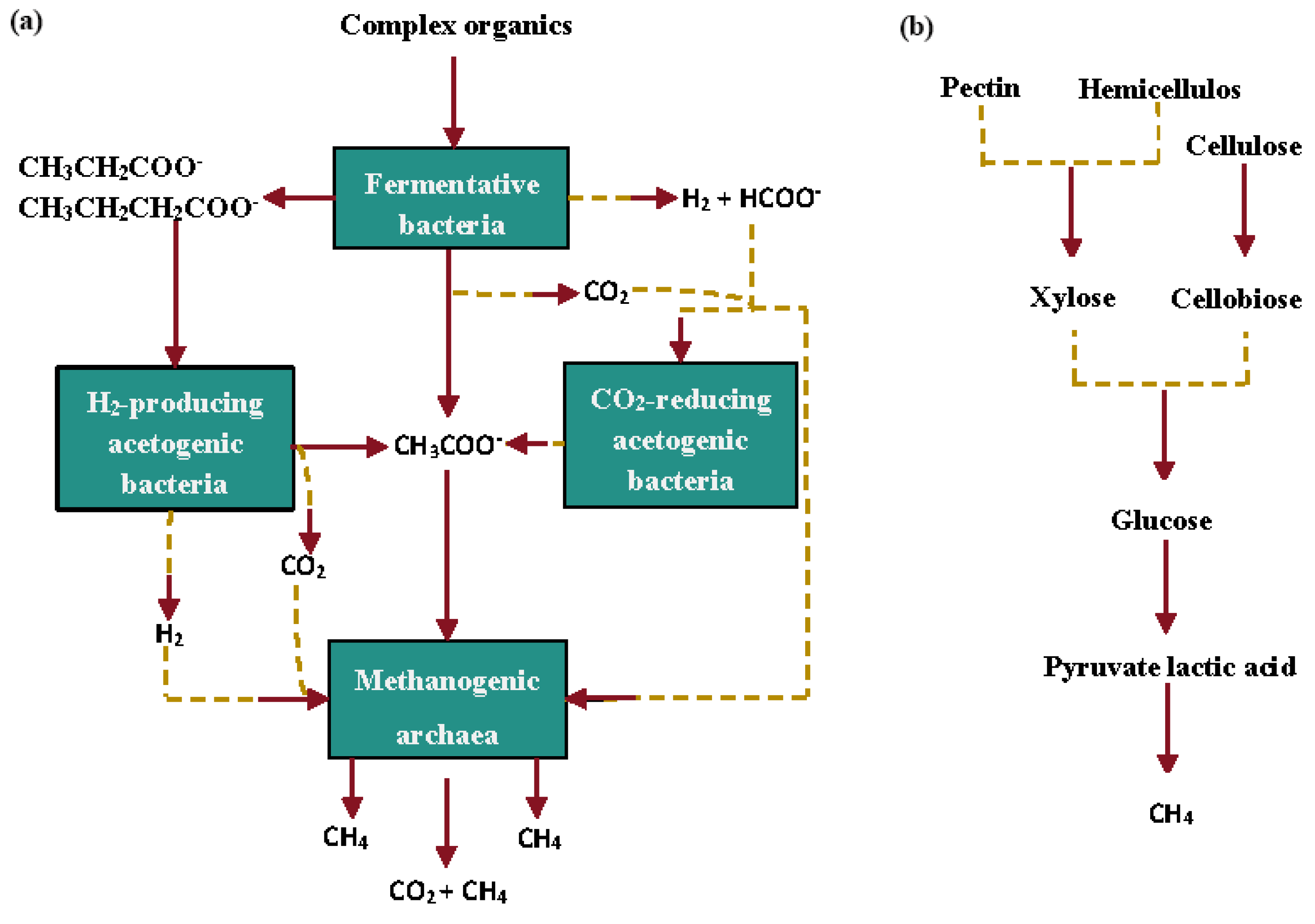 Forests 15 01214 g005 Forests 15 01214 g005