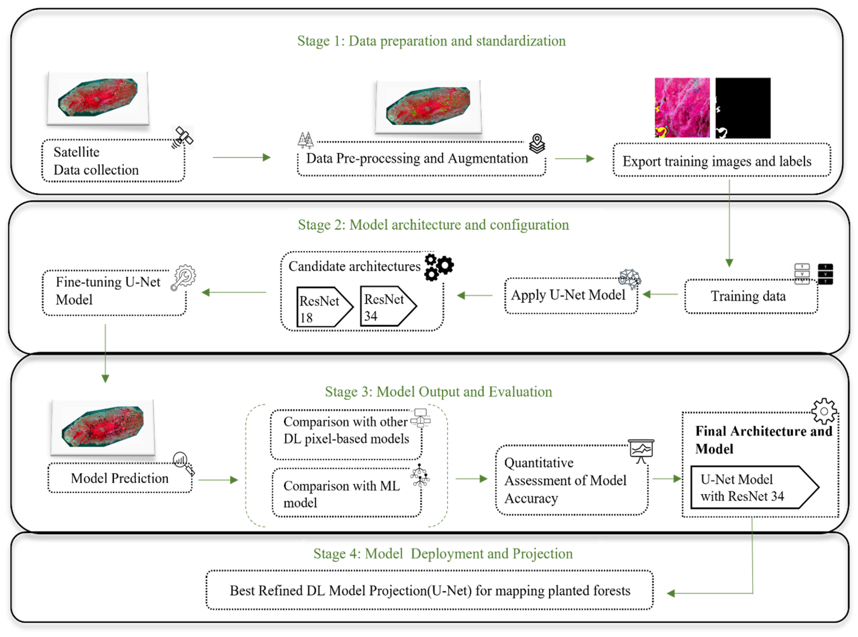 Forests 15 01216 g002