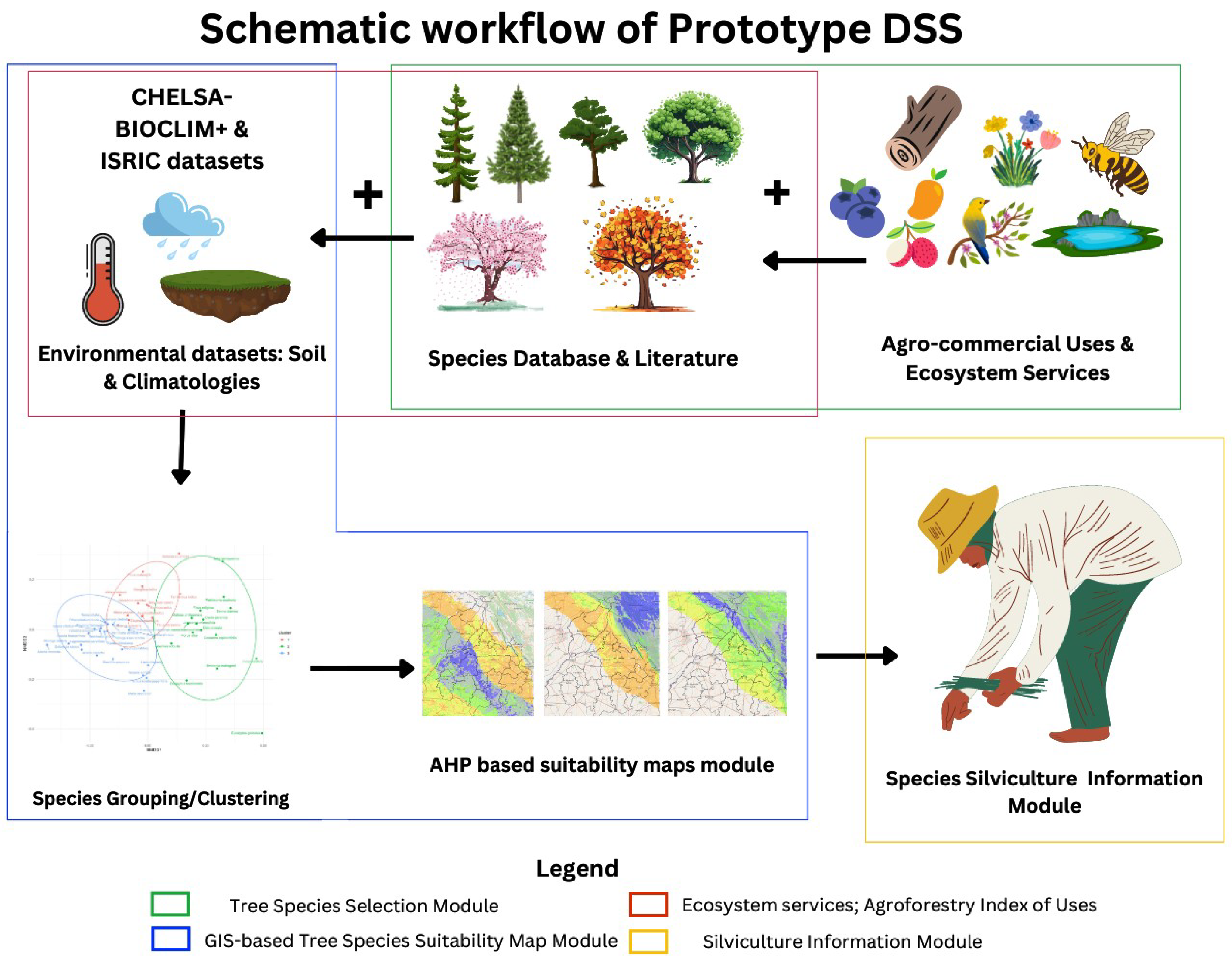 Forests 15 01219 g001