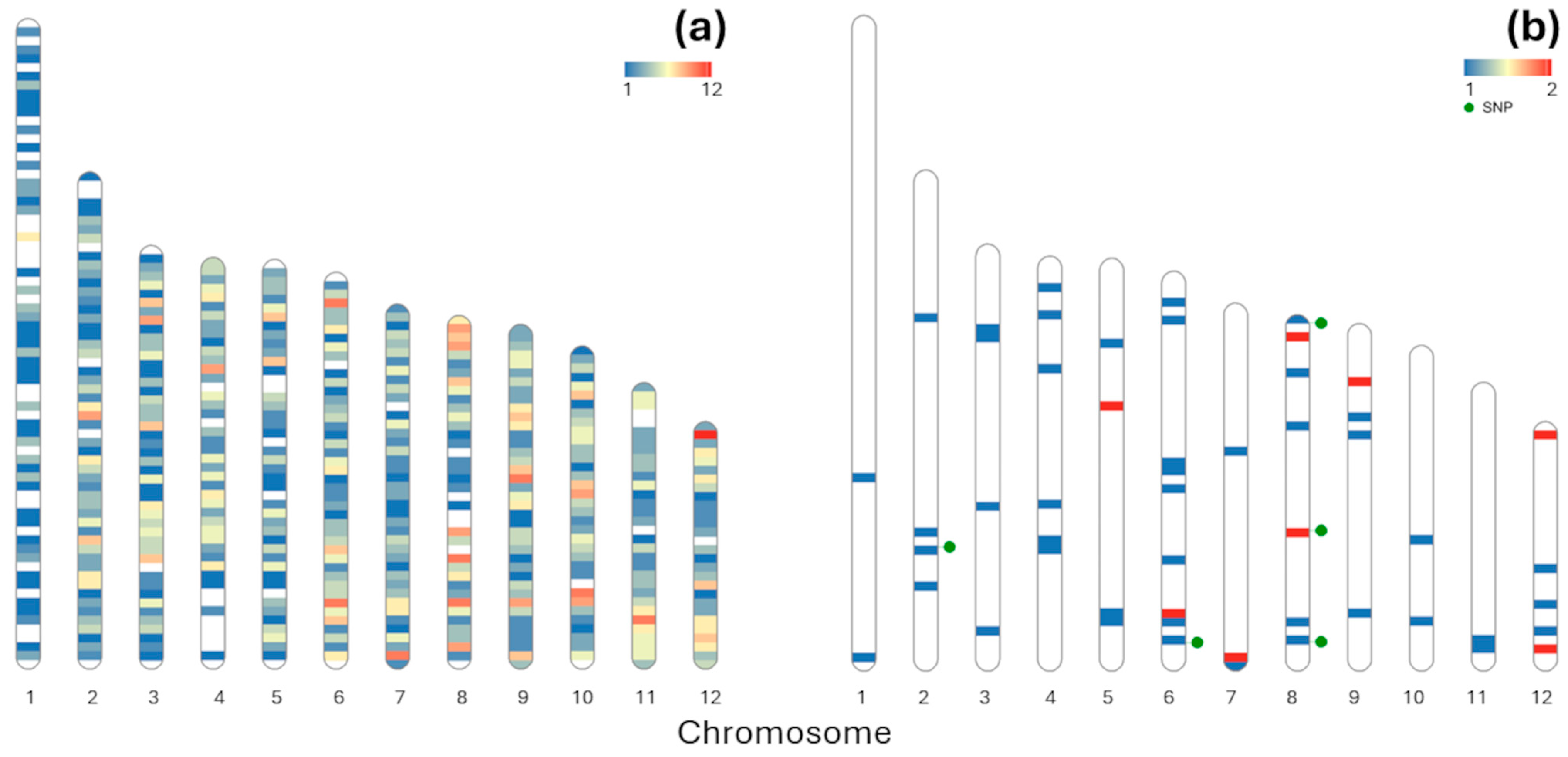 Forests 15 01229 g002 Forests 15 01229 g002