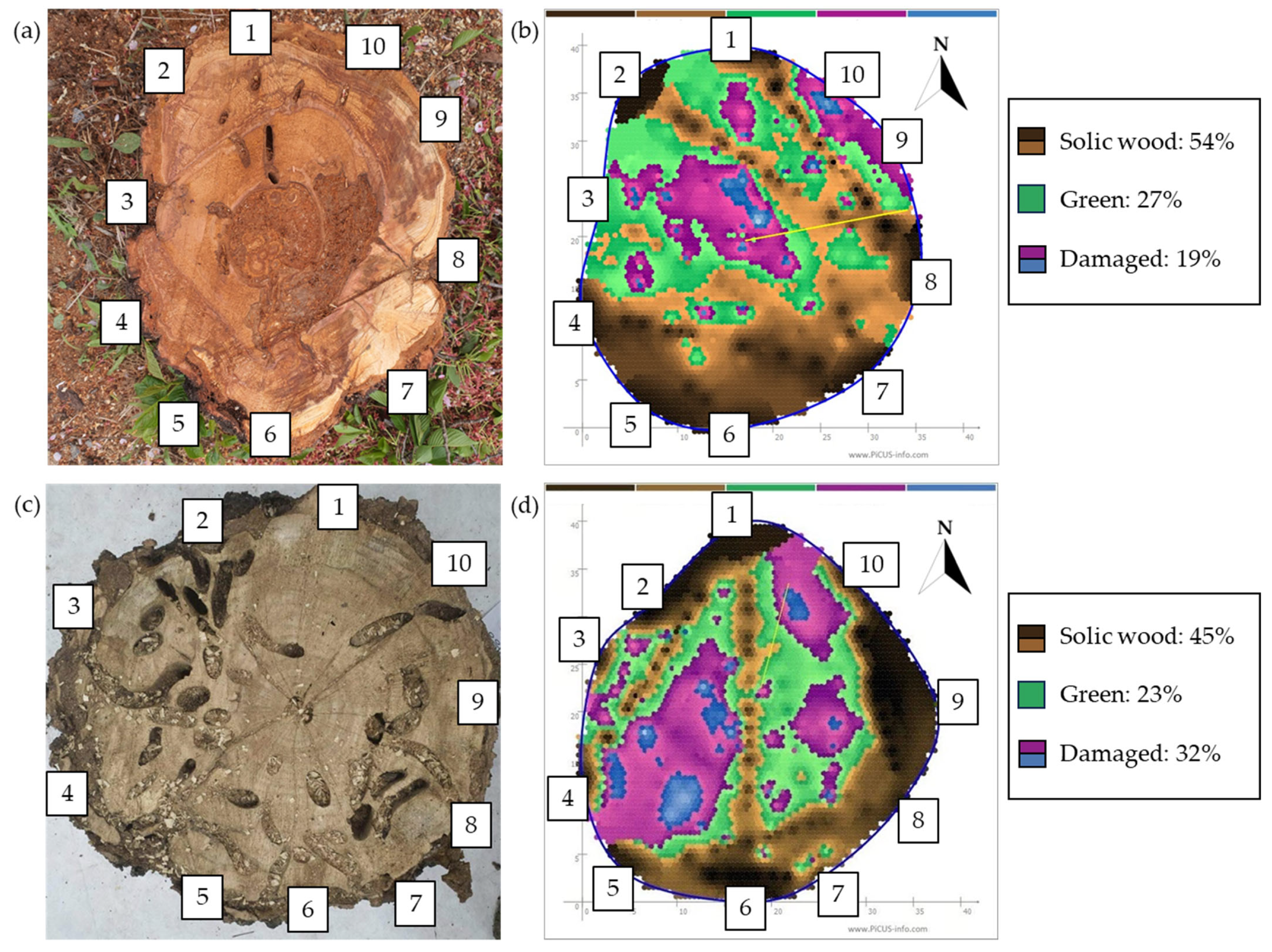 Forests 15 01231 g005